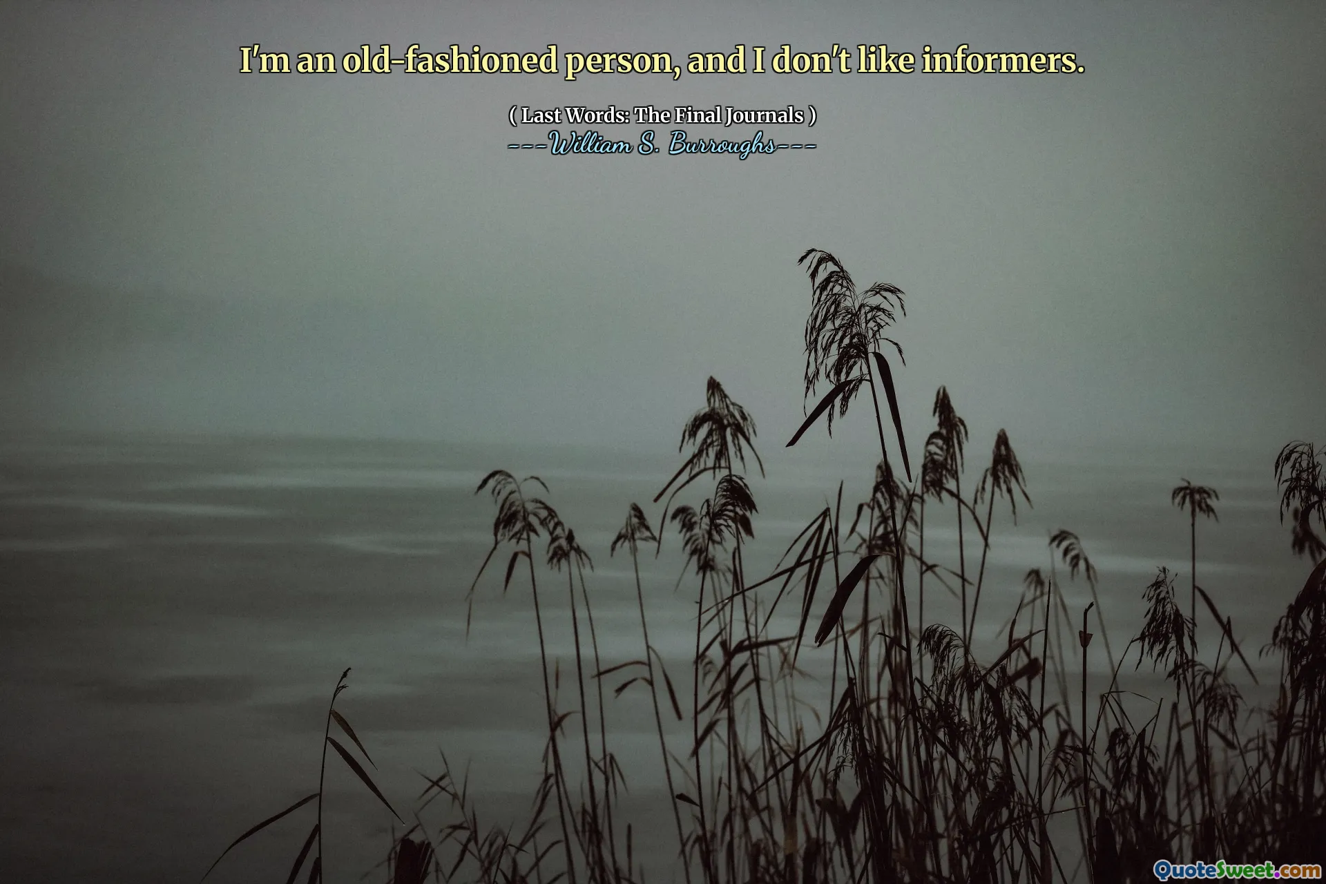 我是一个老式的人，我不喜欢告密者。