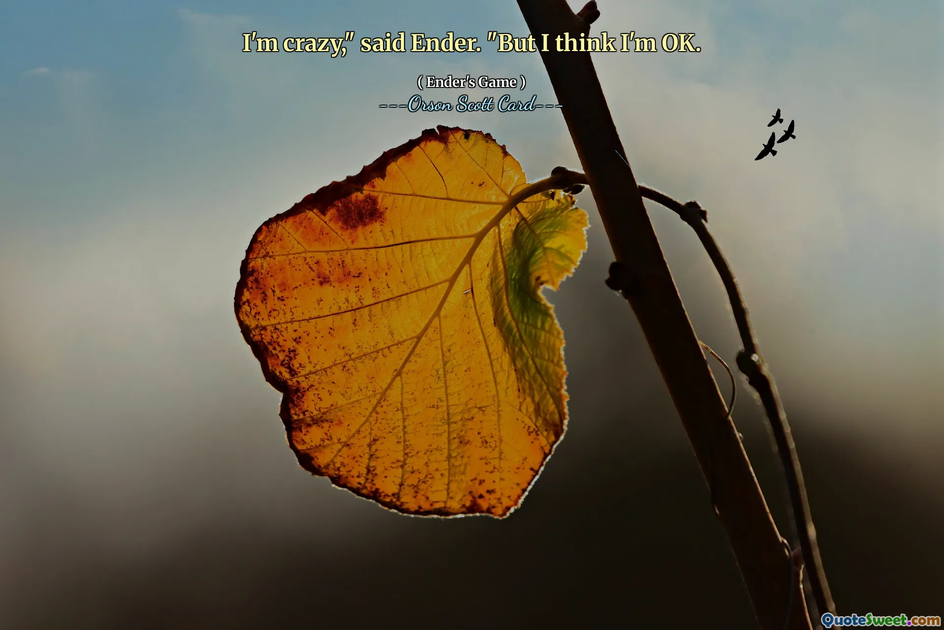 Sunt nebun, a spus Ender. Dar cred că sunt în regulă.