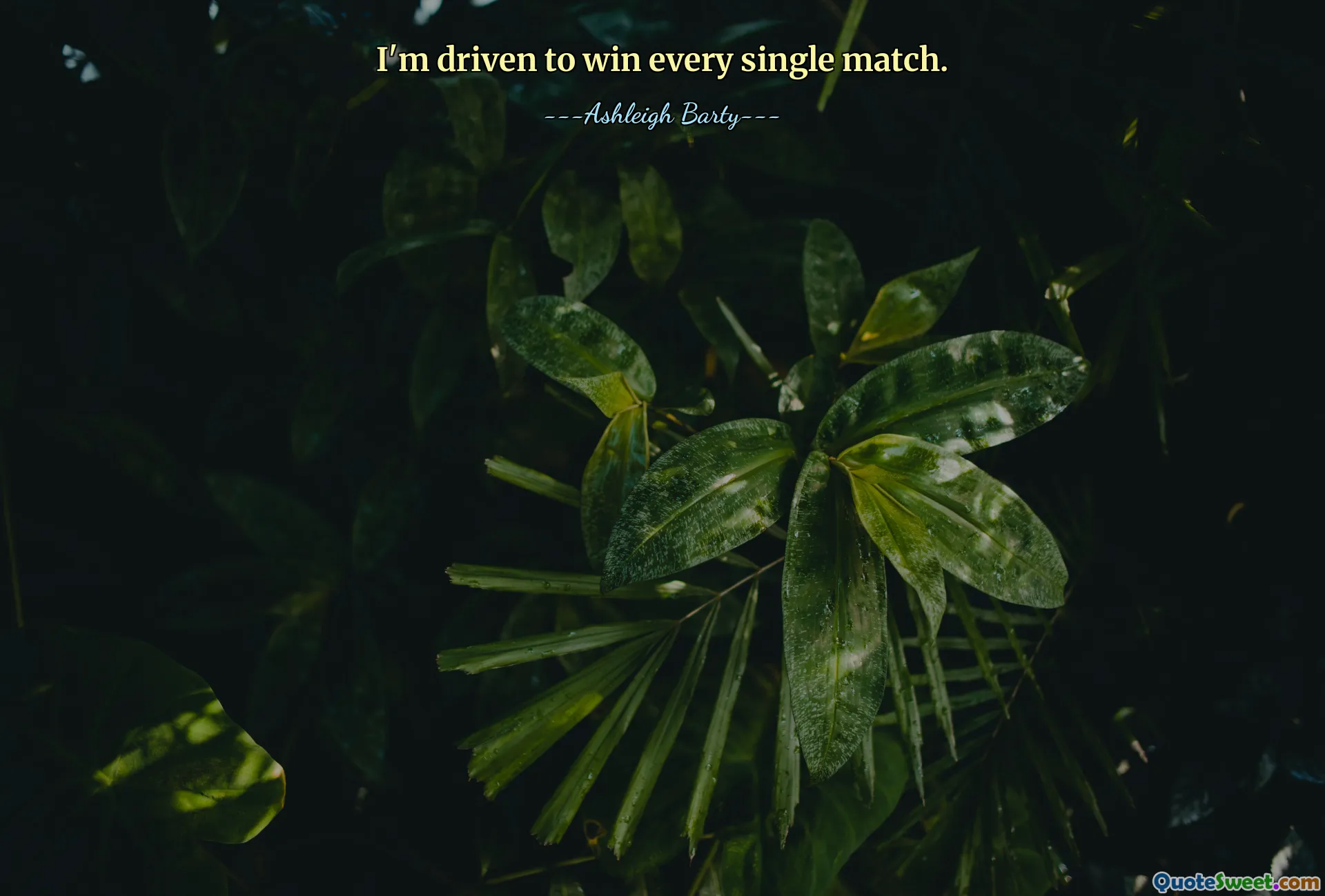 I'm driven to win every single match.