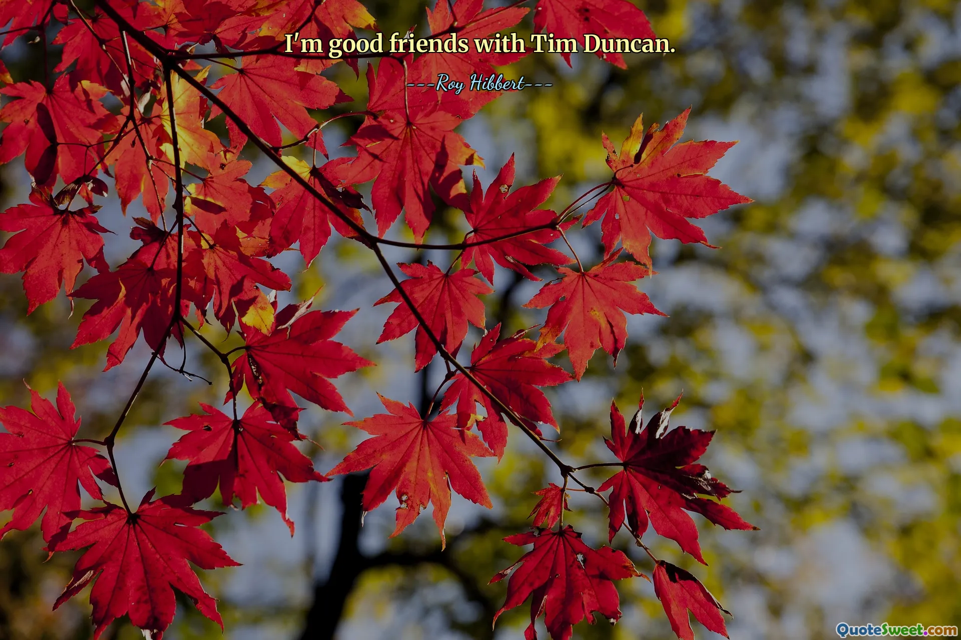 I'm good friends with Tim Duncan.