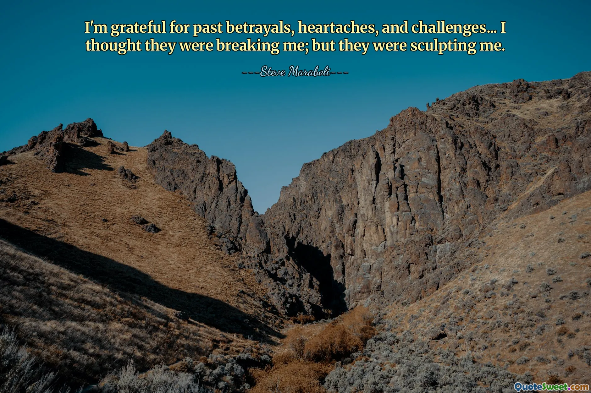 I'm grateful for past betrayals, heartaches, and challenges... I thought they were breaking me; but they were sculpting me.