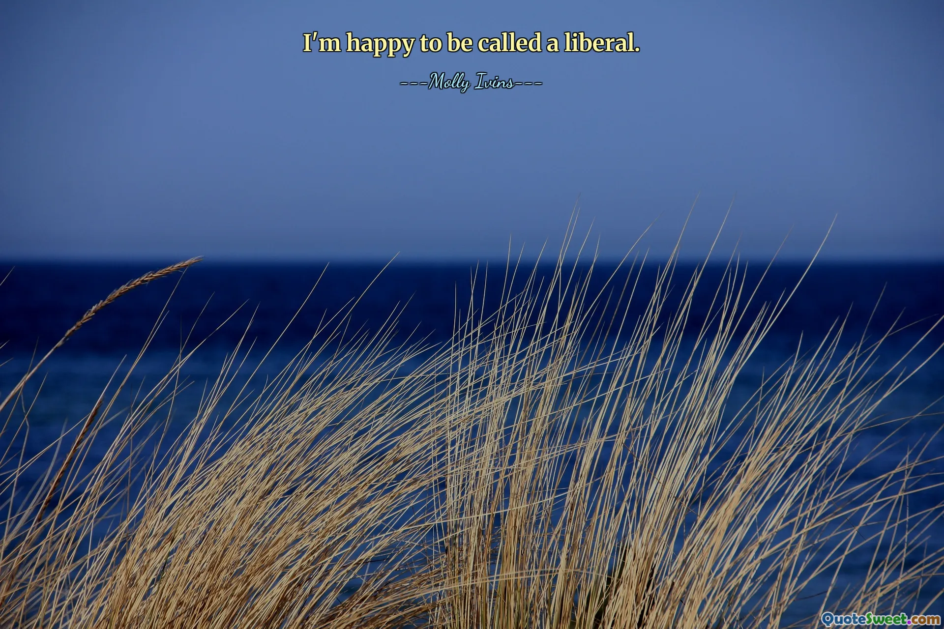 I'm happy to be called a liberal.