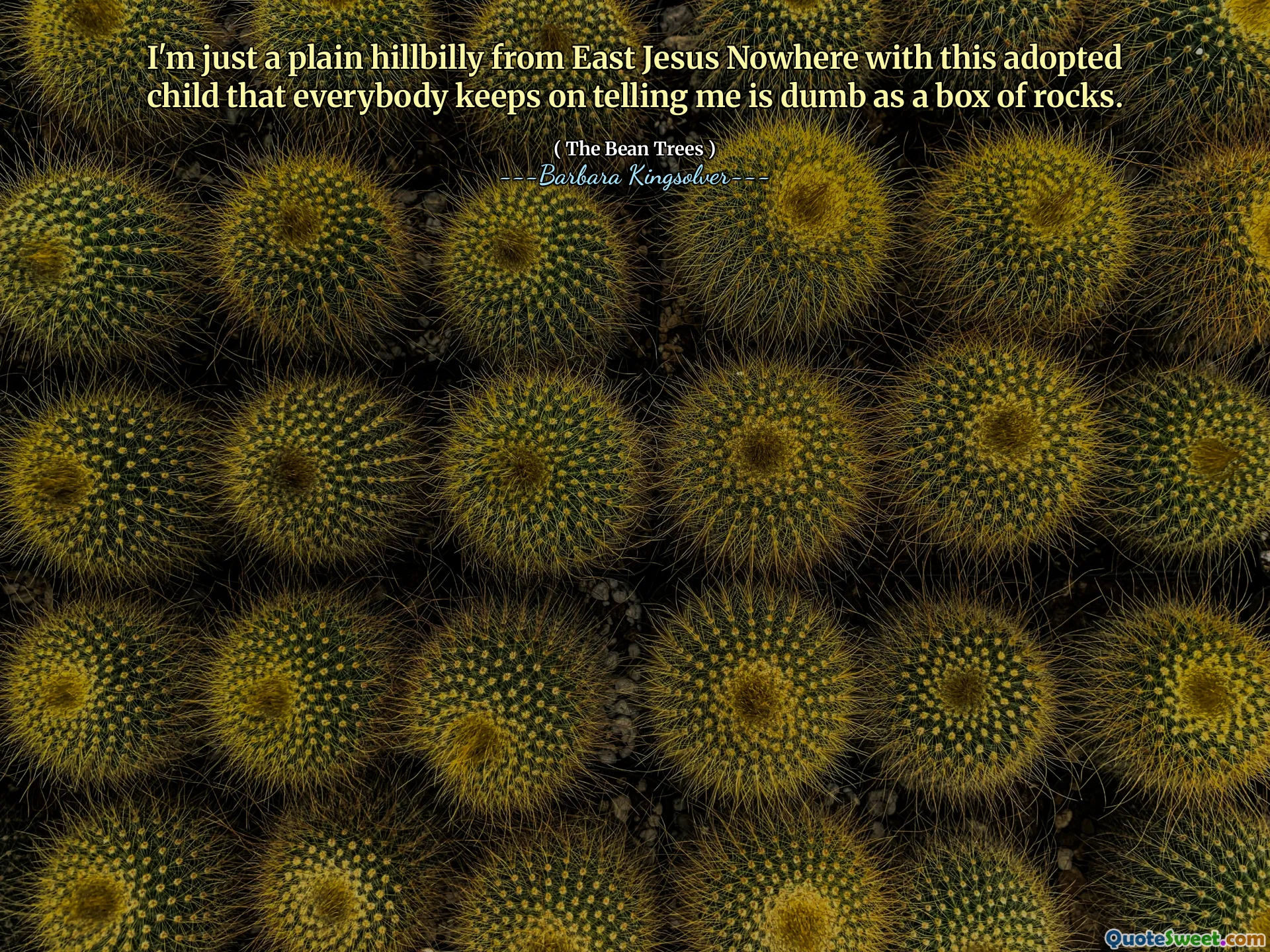 Tôi chỉ là một ngọn đồi đơn giản từ Đông Jesus không nơi nào với đứa con được nhận nuôi mà mọi người cứ nói với tôi là một hộp đá.