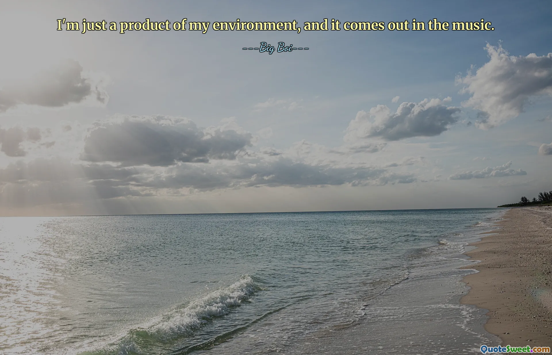 I'm just a product of my environment, and it comes out in the music.