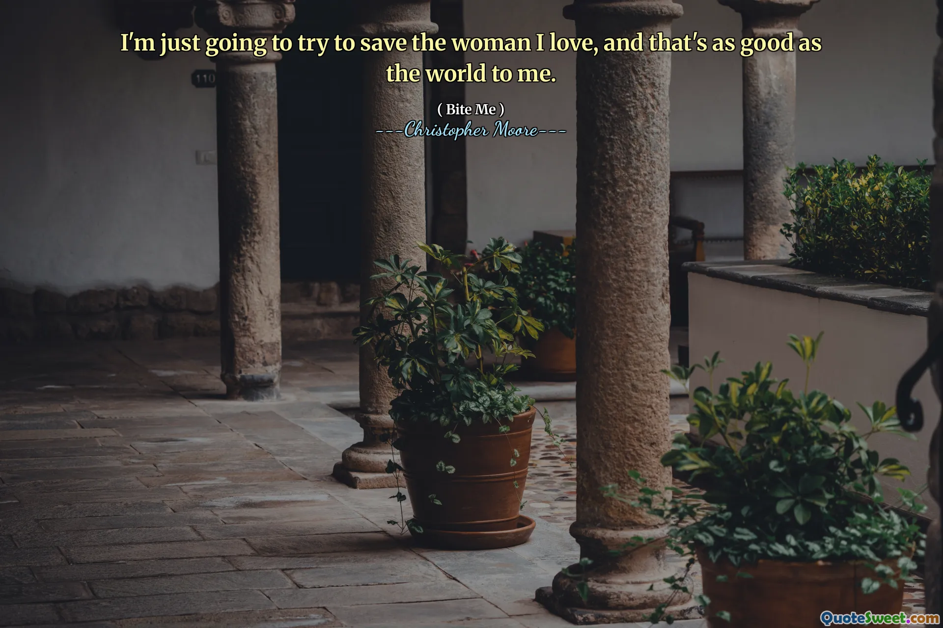 I'm just going to try to save the woman I love, and that's as good as the world to me.