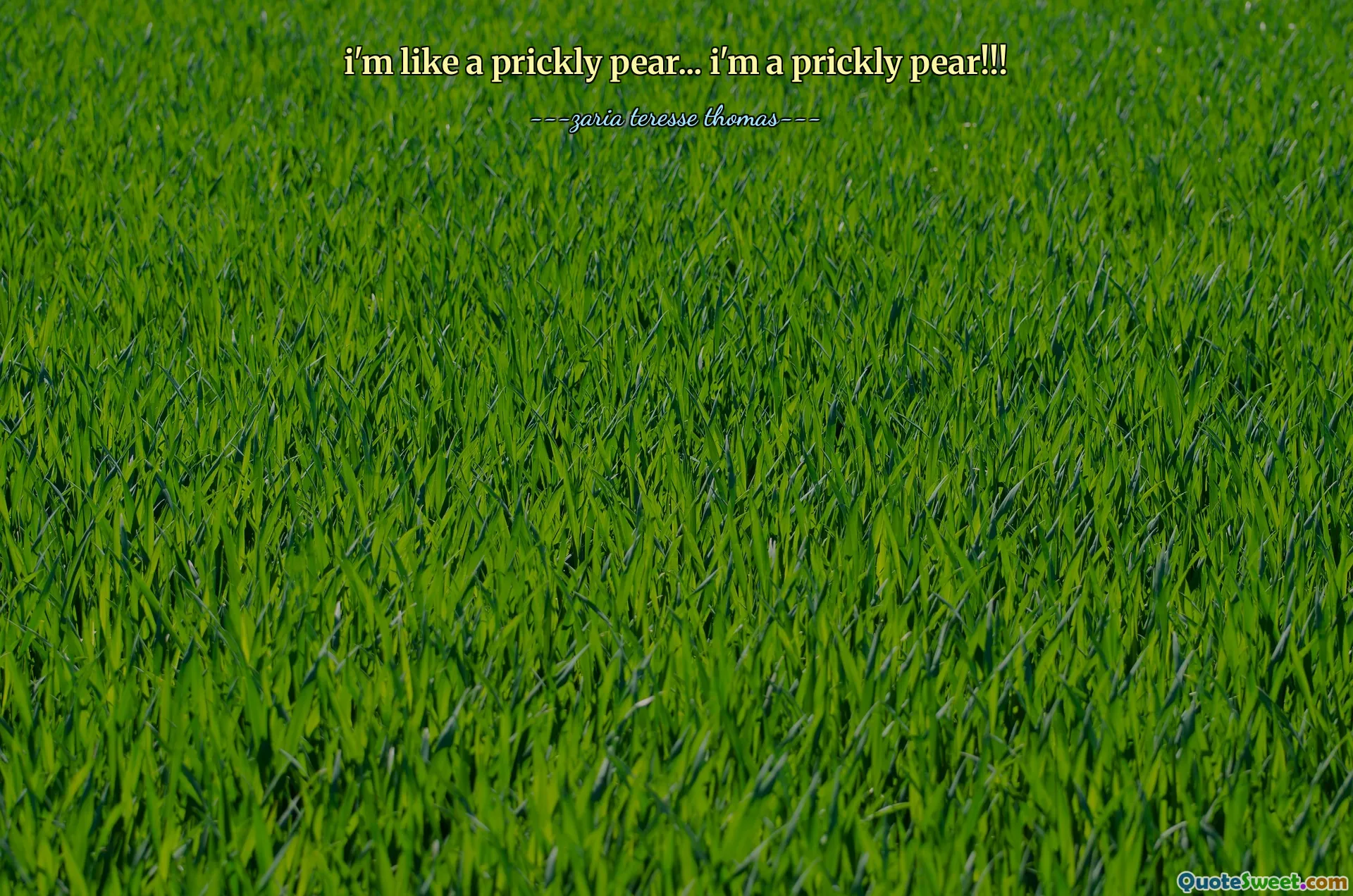 i'm like a prickly pear... i'm a prickly pear!!!