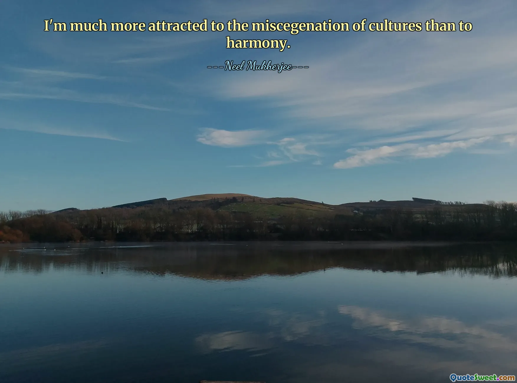 I'm much more attracted to the miscegenation of cultures than to harmony.