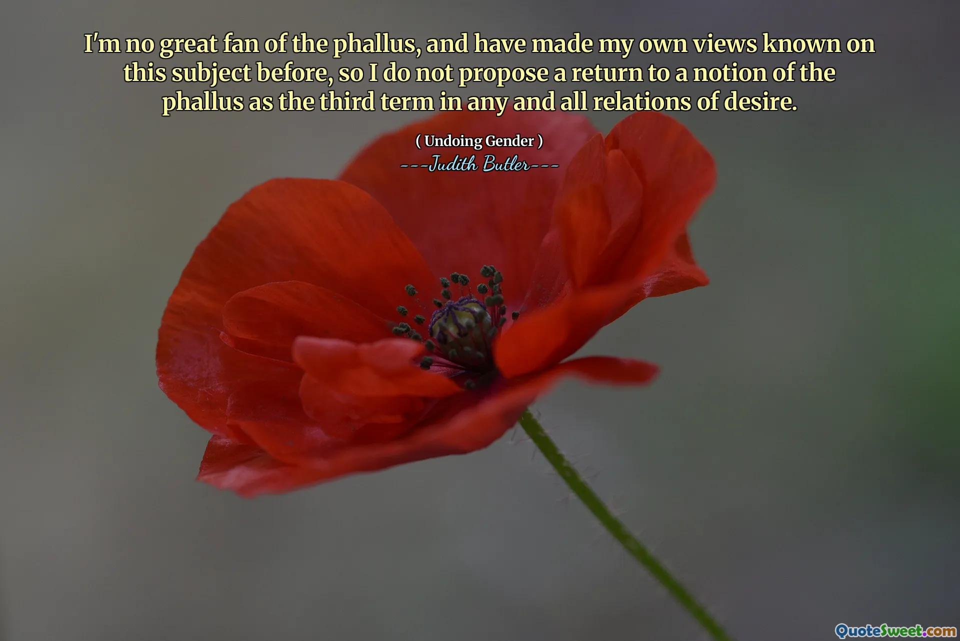 Nu sunt un mare fan al falusului și mi -am făcut cunoscute propriile păreri pe acest subiect, așa că nu propun o revenire la o noțiune a falusului ca al treilea termen în orice relații ale dorinței.