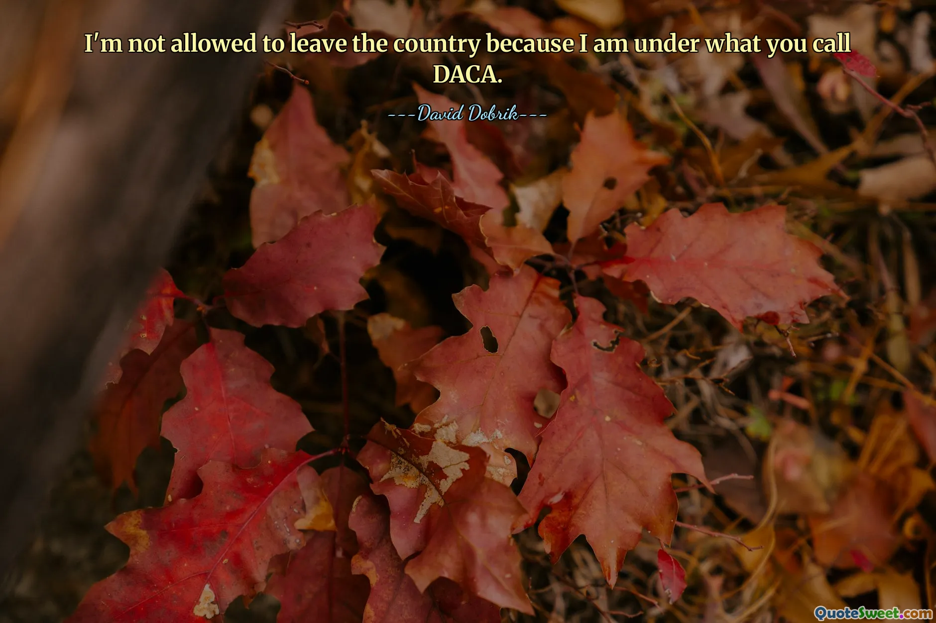 I'm not allowed to leave the country because I am under what you call DACA.