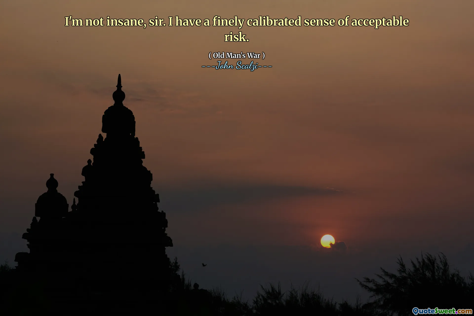 先生，我不是疯了。我有可接受的风险的精细校准感。