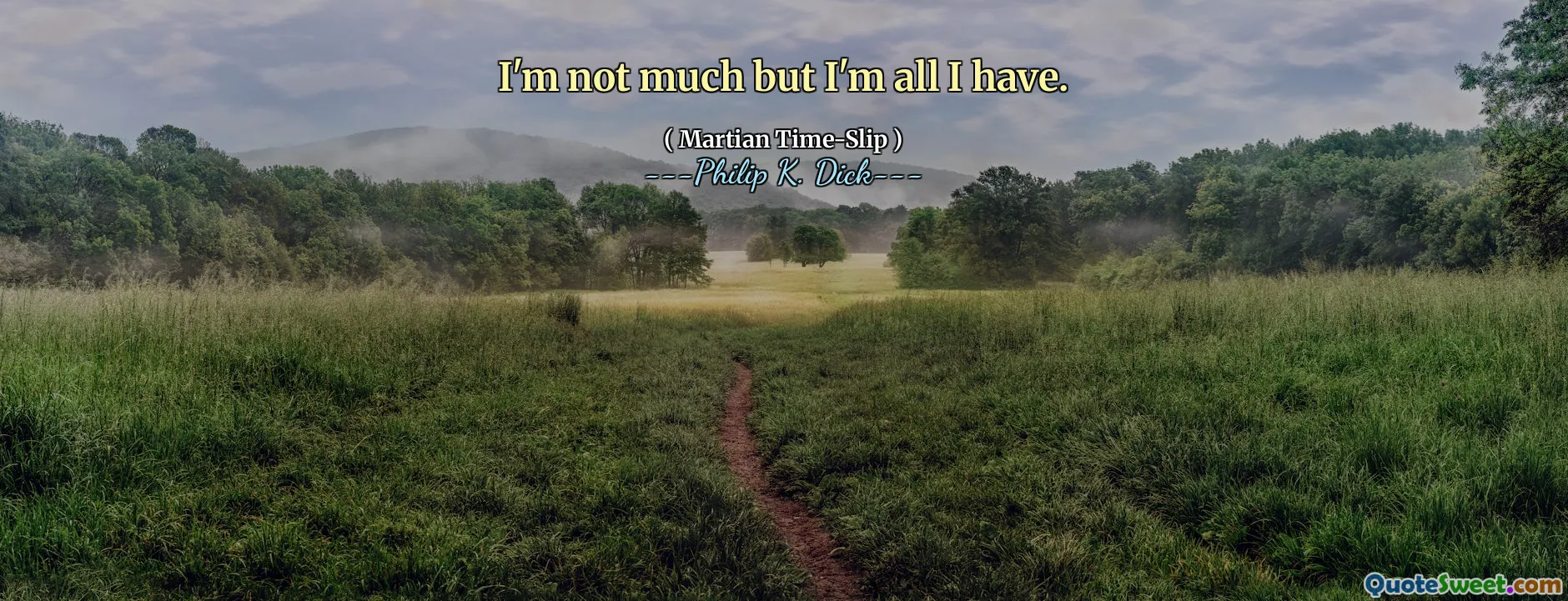 我不多，但我拥有的一切。