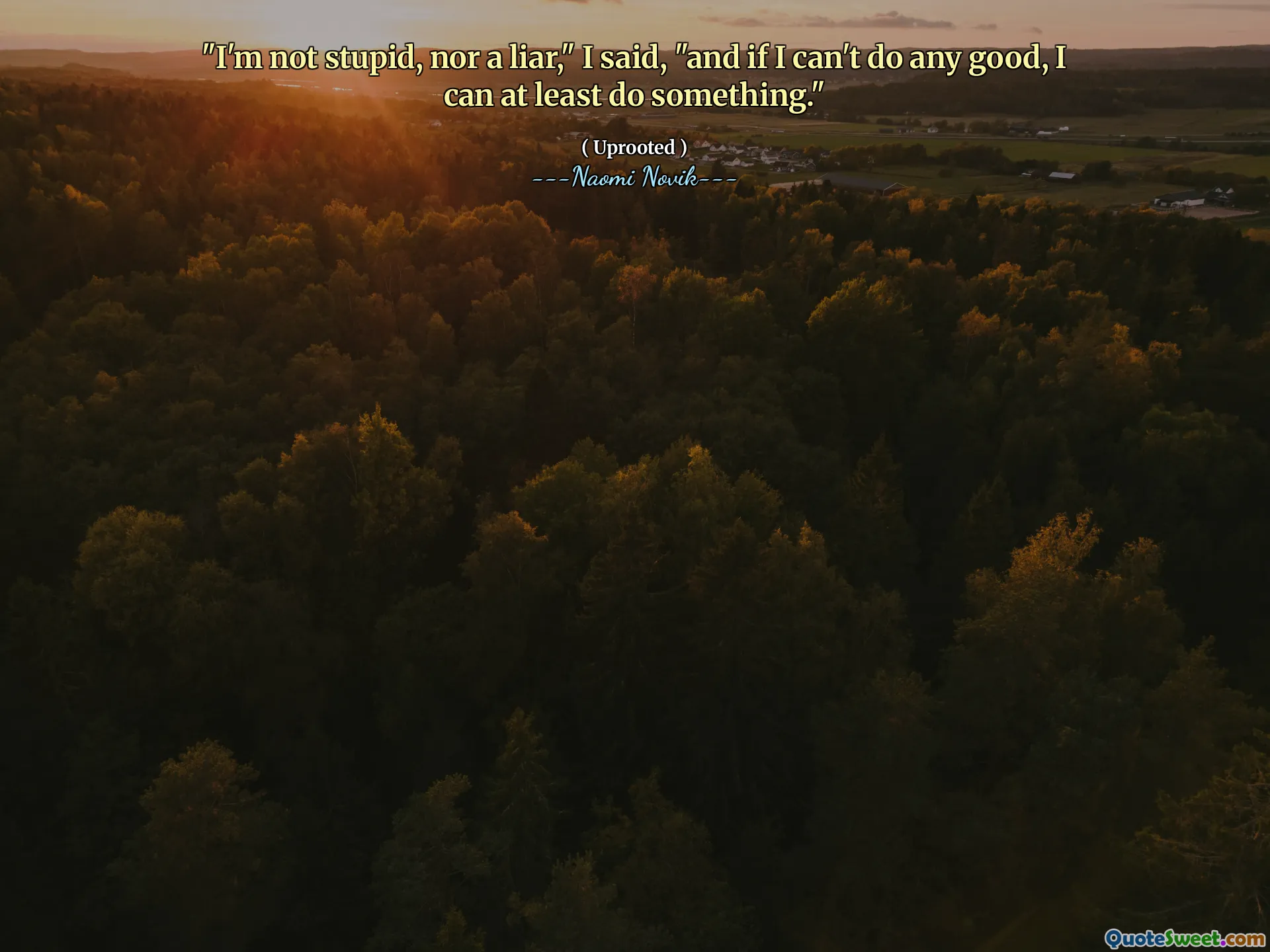 "I'm not stupid, nor a liar," I said, "and if I can't do any good, I can at least do something."