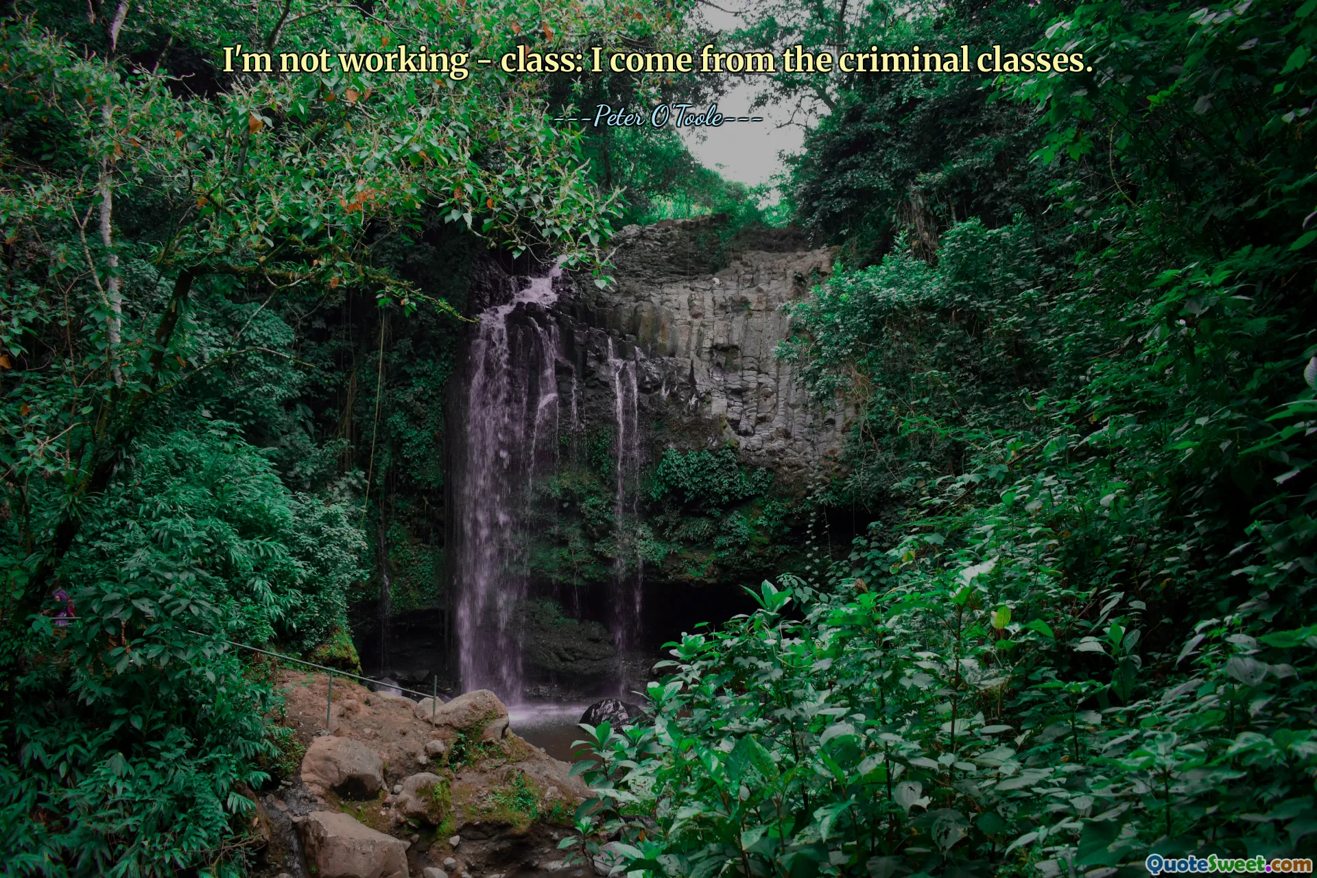 I'm not working - class: I come from the criminal classes.