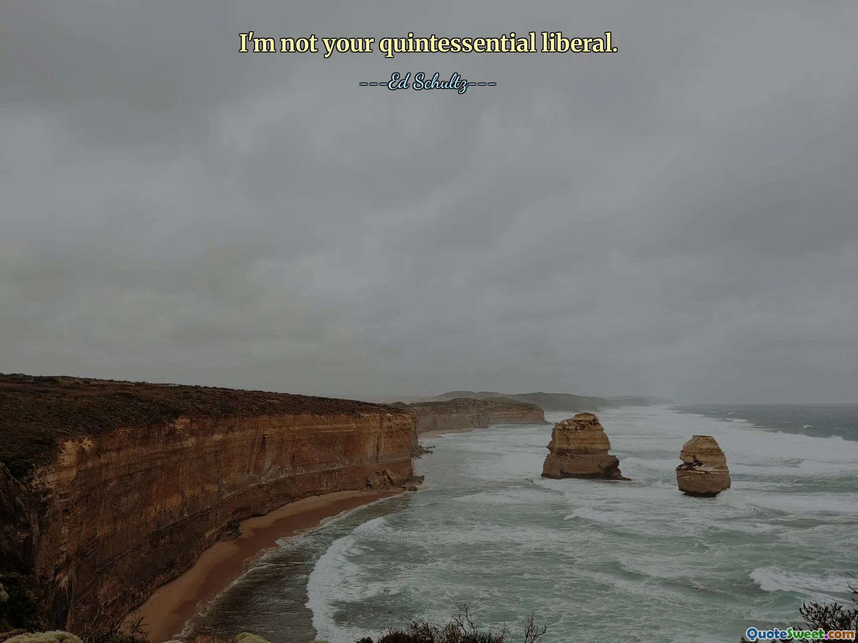 I'm not your quintessential liberal.