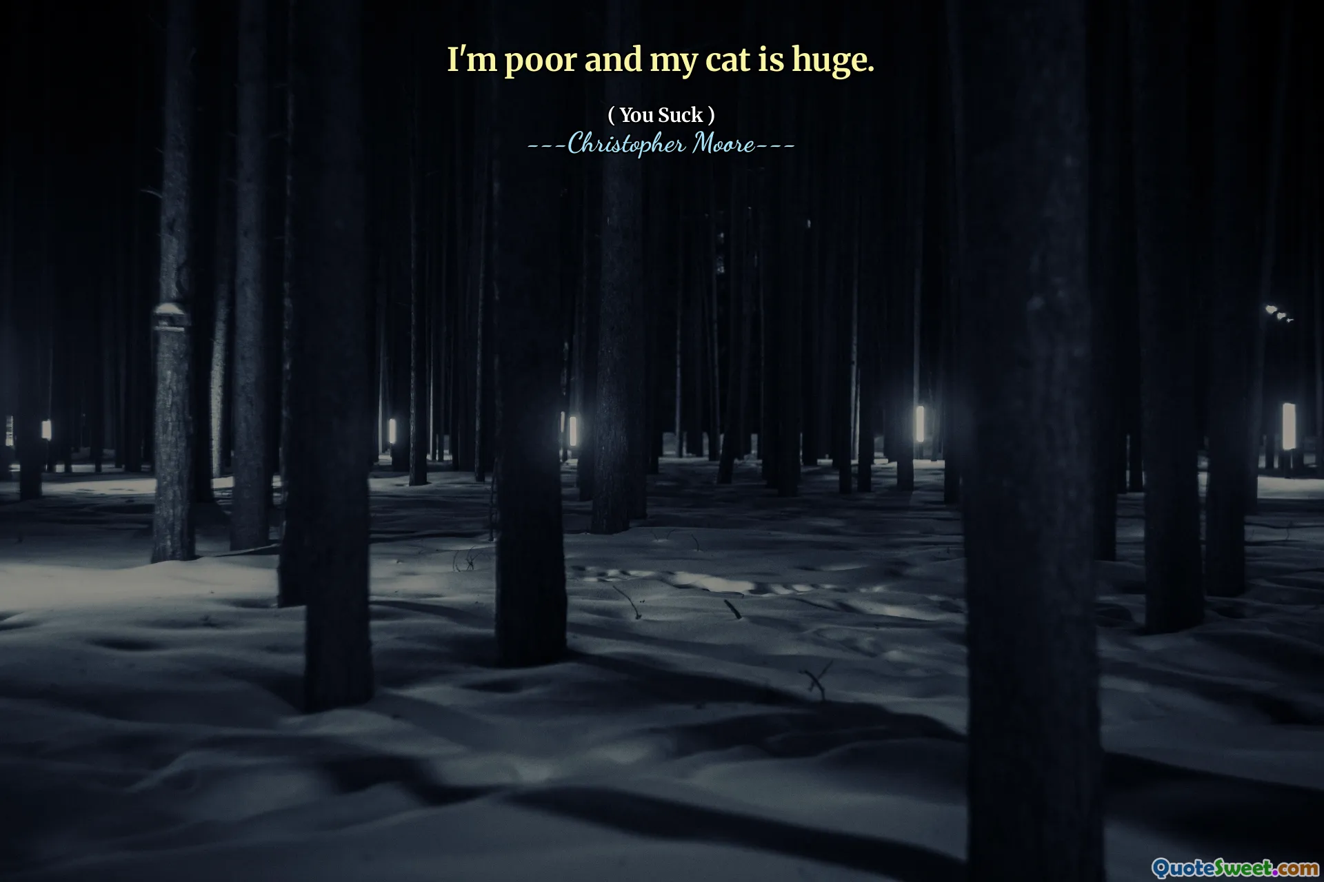 I'm poor and my cat is huge.