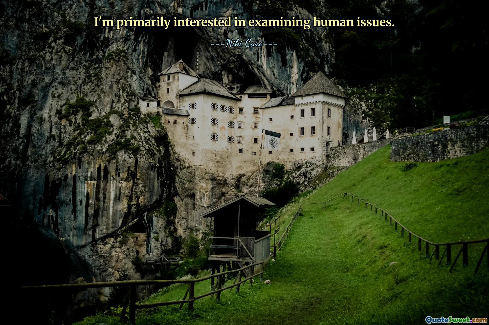I'm primarily interested in examining human issues.