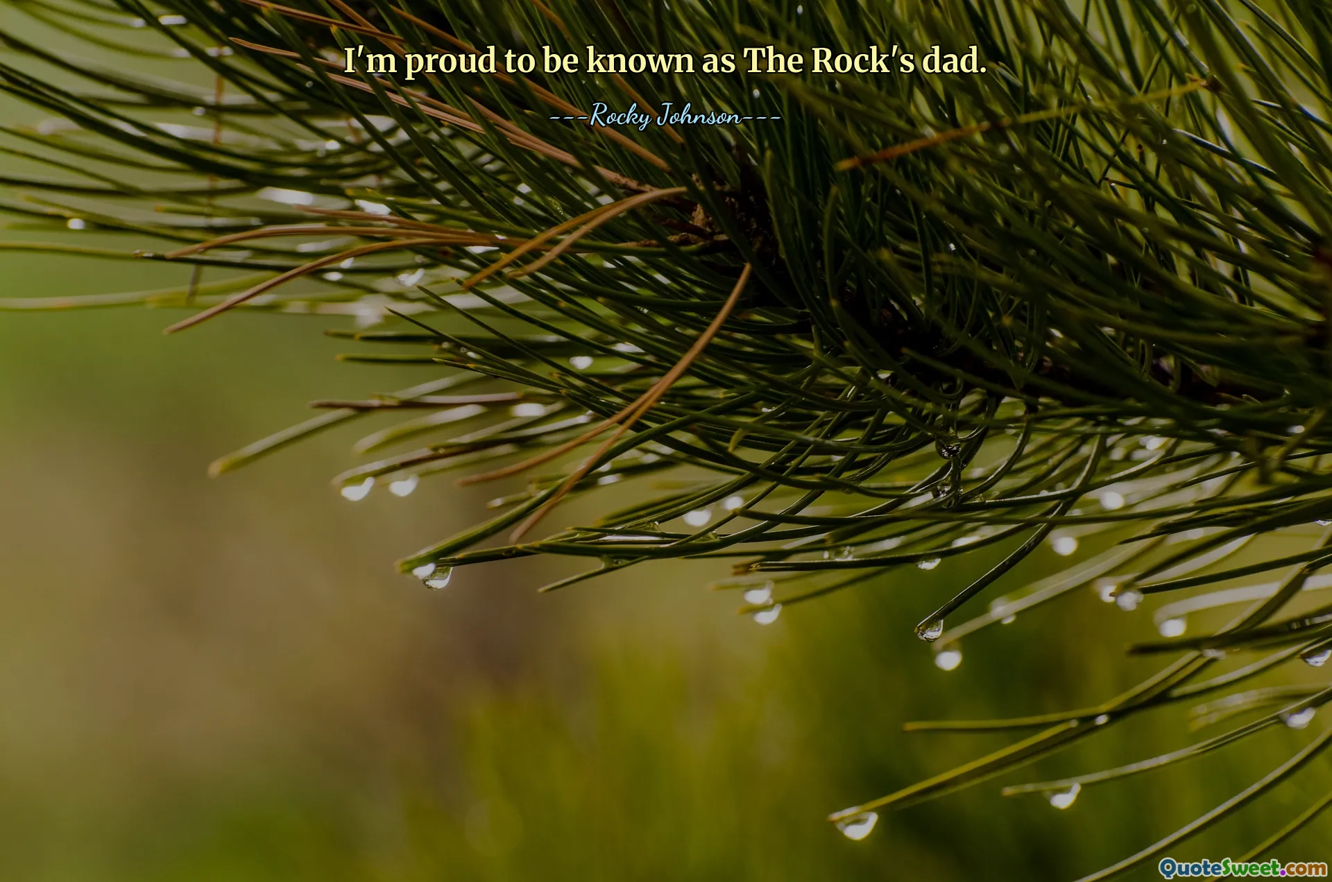 I'm proud to be known as The Rock's dad.