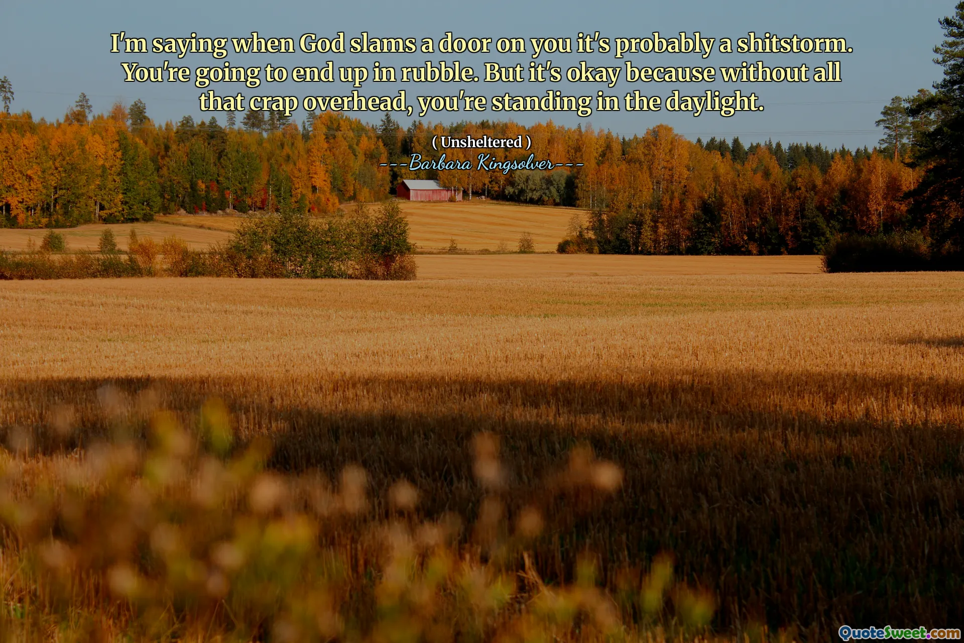 मैं कह रहा हूं कि जब भगवान आप पर एक दरवाजा पटक देता है तो यह शायद एक बकवास है। आप मलबे में समाप्त होने जा रहे हैं। लेकिन यह ठीक है क्योंकि उस सब के बिना ओवरहेड, आप दिन के उजाले में खड़े हैं।