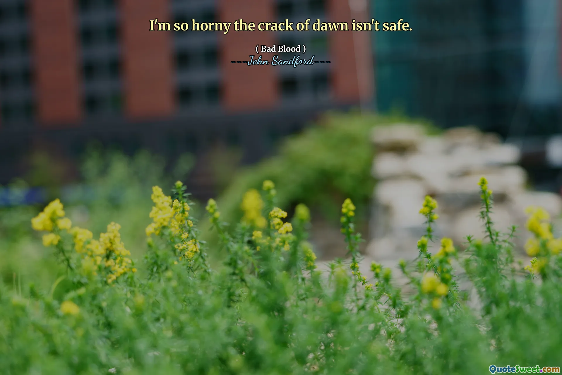 Jag är så kåt att gryningen inte är säker.