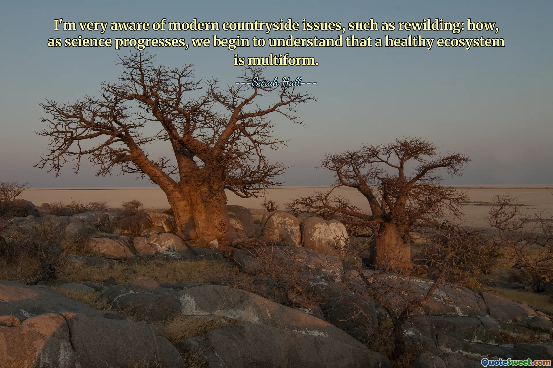 Yeniden yabanileştirme gibi modern kırsal sorunların fazlasıyla farkındayım: Bilim ilerledikçe sağlıklı bir ekosistemin çok biçimli olduğunu nasıl anlamaya başlıyoruz.