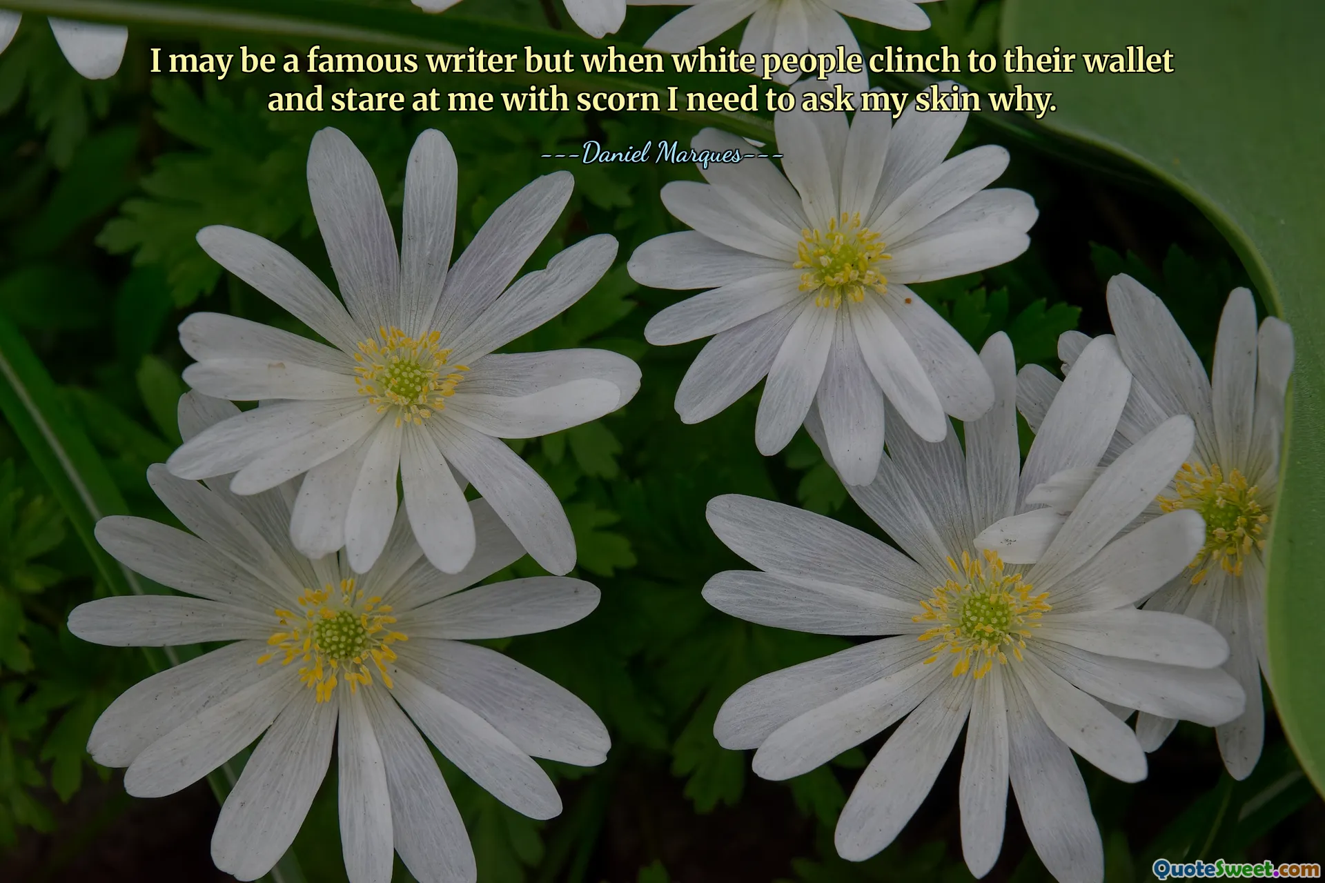 I may be a famous writer but when white people clinch to their wallet and stare at me with scorn I need to ask my skin why.