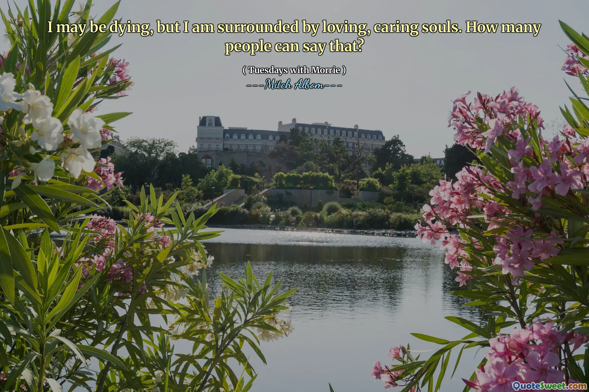 我可能快要死了，但我被爱心，关怀的灵魂所包围。有多少人可以这么说？