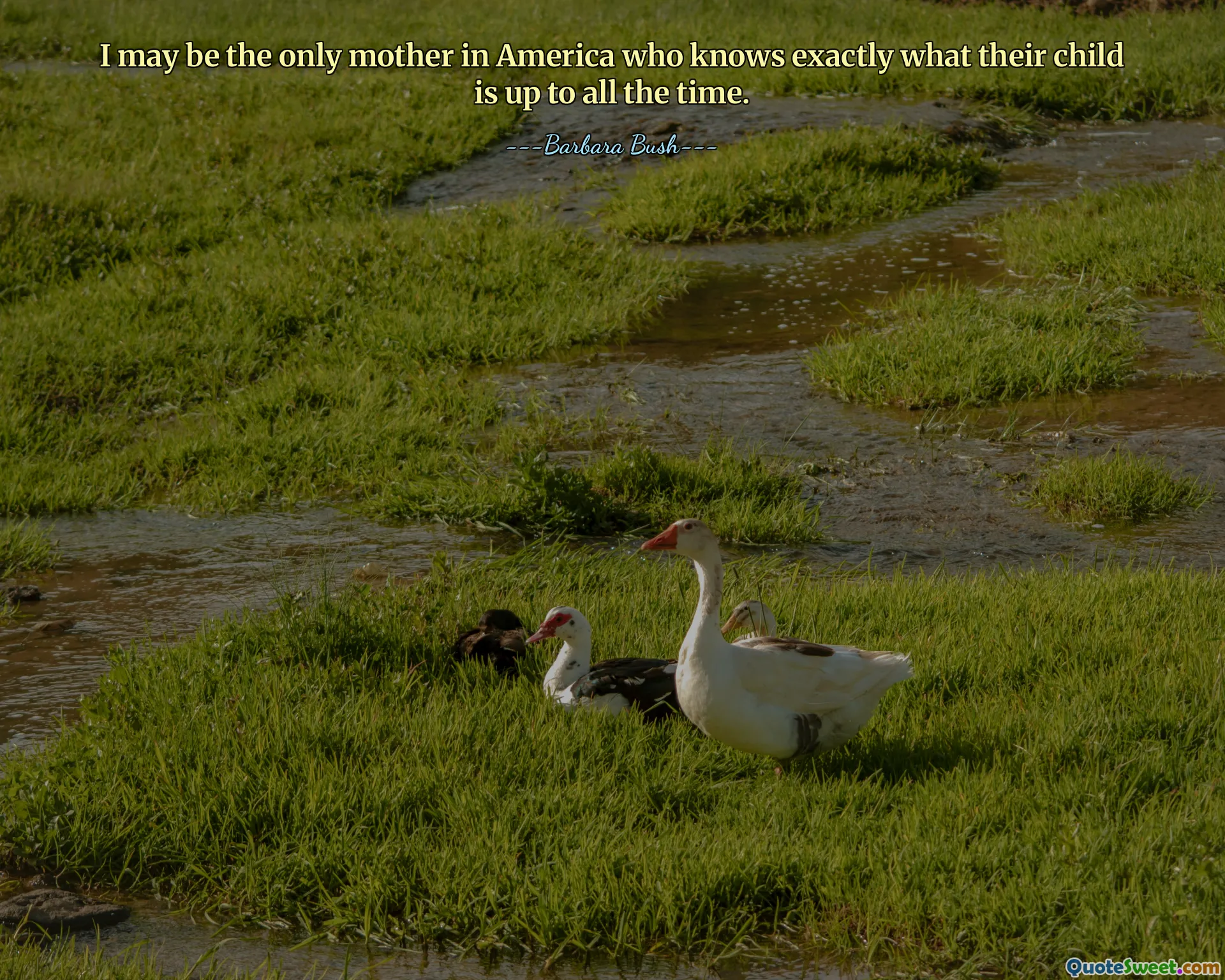 I may be the only mother in America who knows exactly what their child is up to all the time.