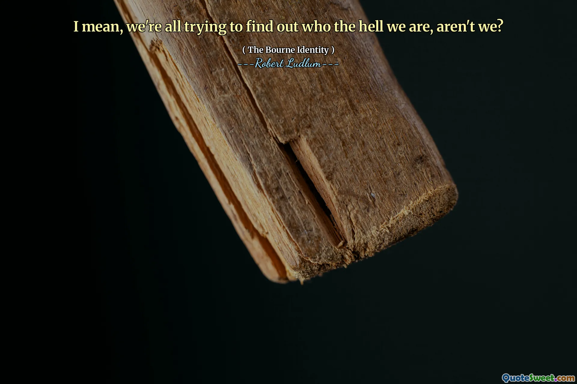 Jeg mener, vi prøver alle å finne ut hvem faen vi er, ikke sant?