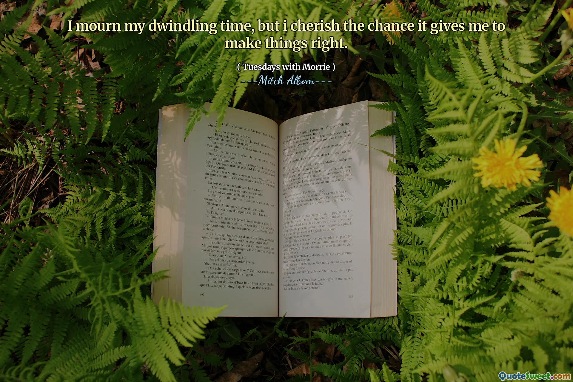 I mourn my dwindling time, but i cherish the chance it gives me to make things right.