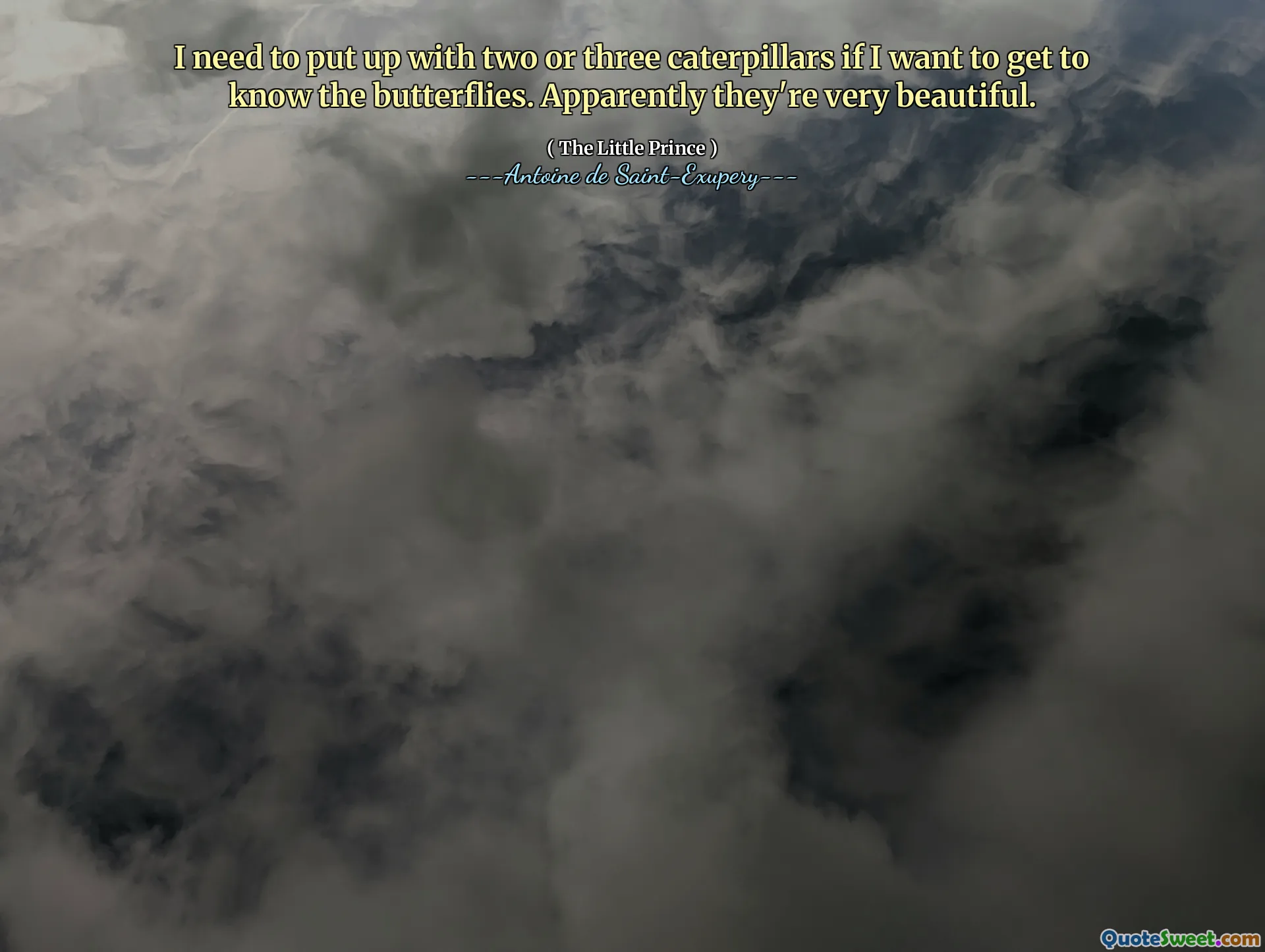 I need to put up with two or three caterpillars if I want to get to know the butterflies. Apparently they're very beautiful.