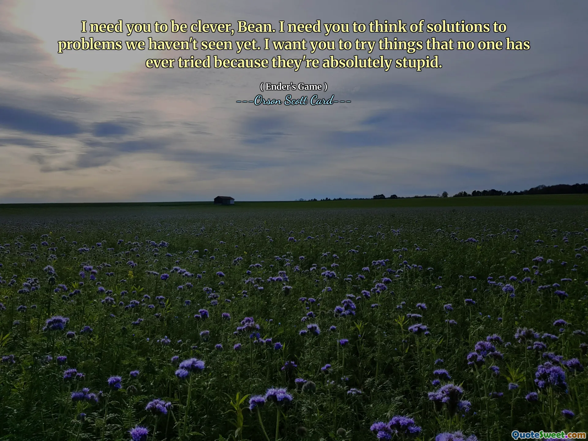 मैं चाहता हूँ कि तुम चतुर बनो, बीन। मैं चाहता हूं कि आप उन समस्याओं के समाधान के बारे में सोचें जिन्हें हमने अभी तक नहीं देखा है। मैं चाहता हूं कि आप ऐसी चीजें आज़माएं जो किसी ने कभी नहीं आज़माईं क्योंकि वे बिल्कुल बेवकूफी भरी हैं।