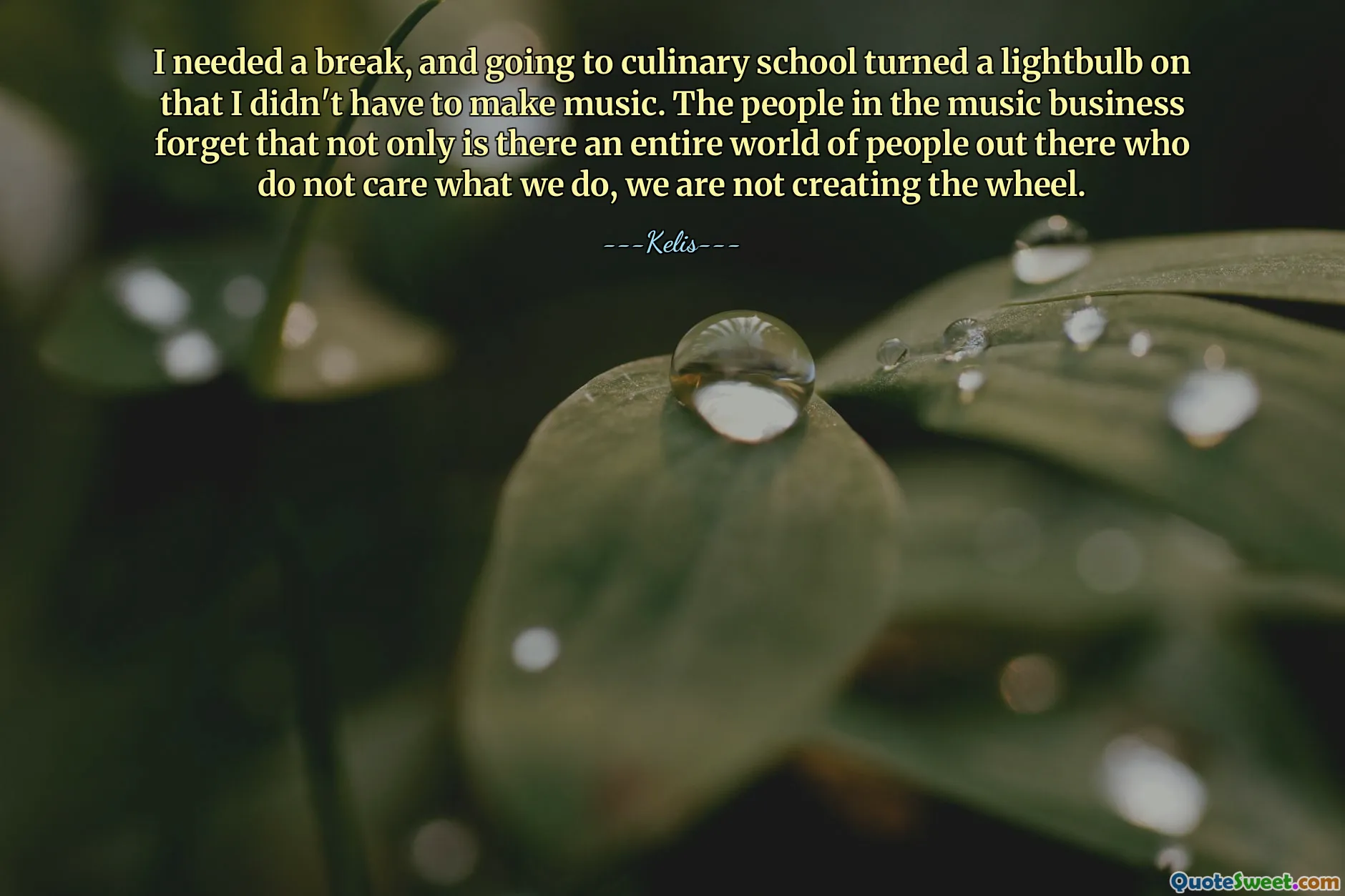 I needed a break, and going to culinary school turned a lightbulb on that I didn't have to make music. The people in the music business forget that not only is there an entire world of people out there who do not care what we do, we are not creating the wheel.