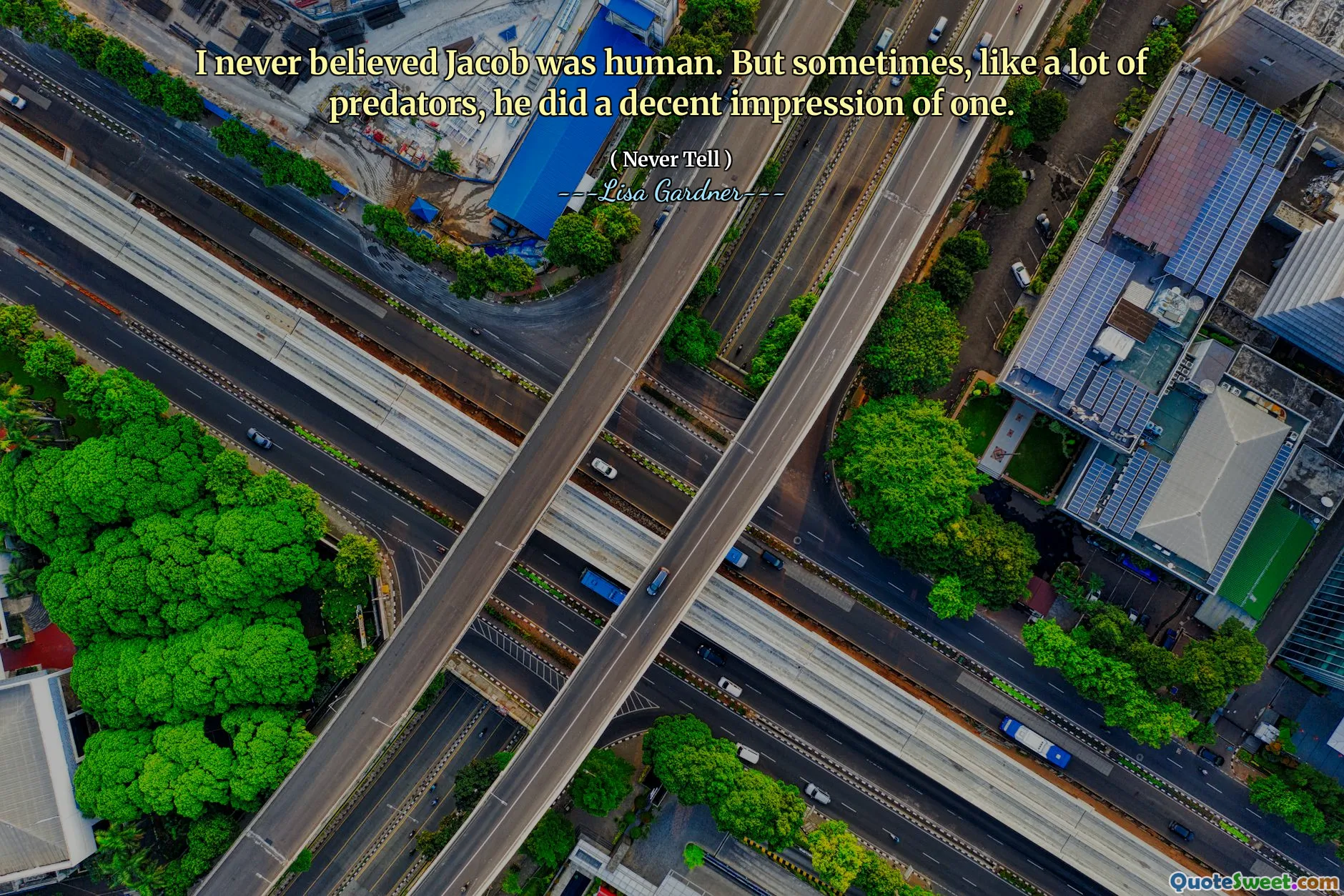 I never believed Jacob was human. But sometimes, like a lot of predators, he did a decent impression of one.