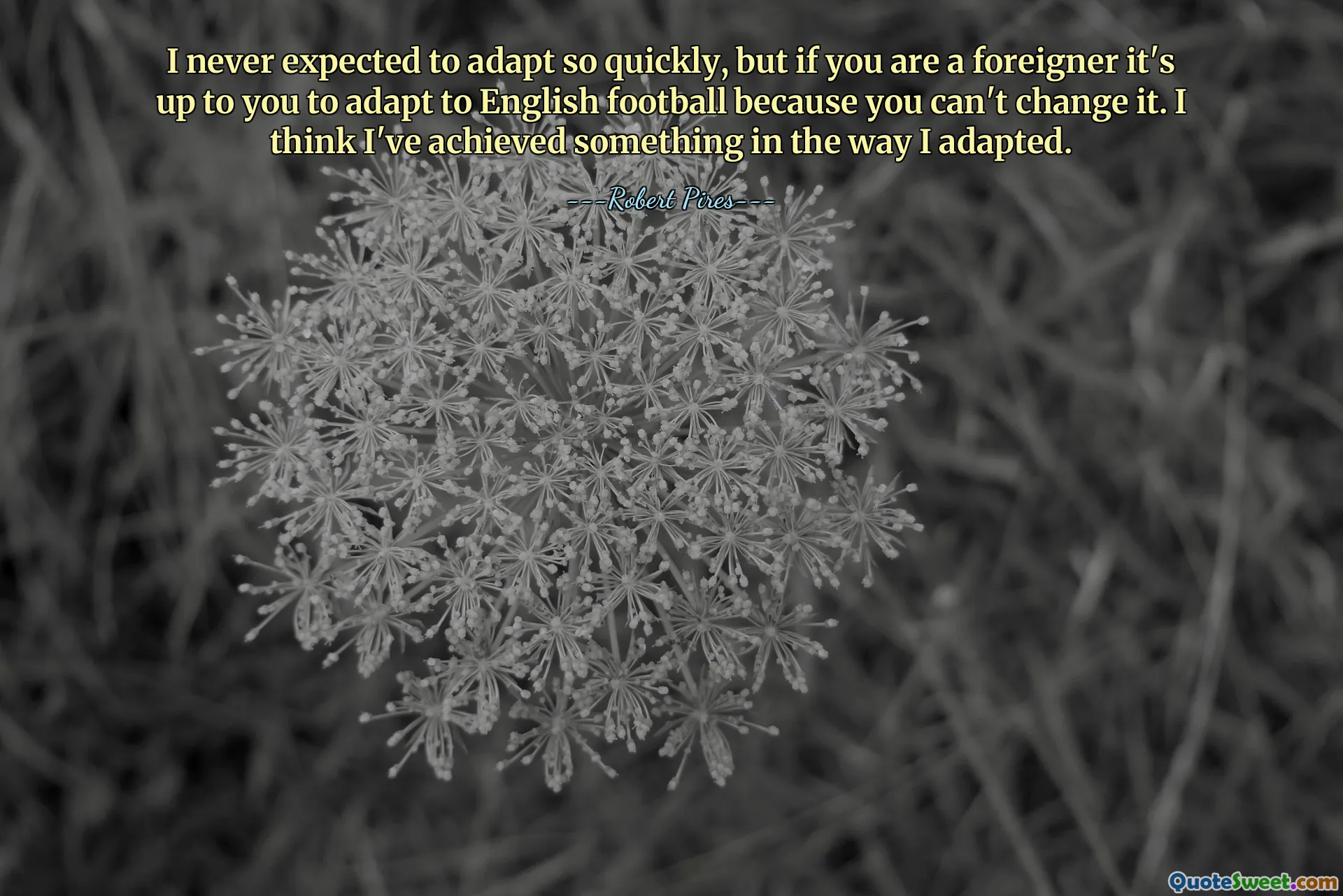 I never expected to adapt so quickly, but if you are a foreigner it's up to you to adapt to English football because you can't change it. I think I've achieved something in the way I adapted.