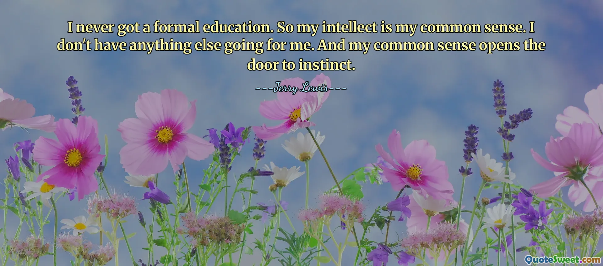 Jeg fikk aldri en formell utdannelse. Så mitt intellekt er min sunne fornuft. Jeg har ikke noe annet for meg. Og min sunne fornuft åpner døren til instinkt.