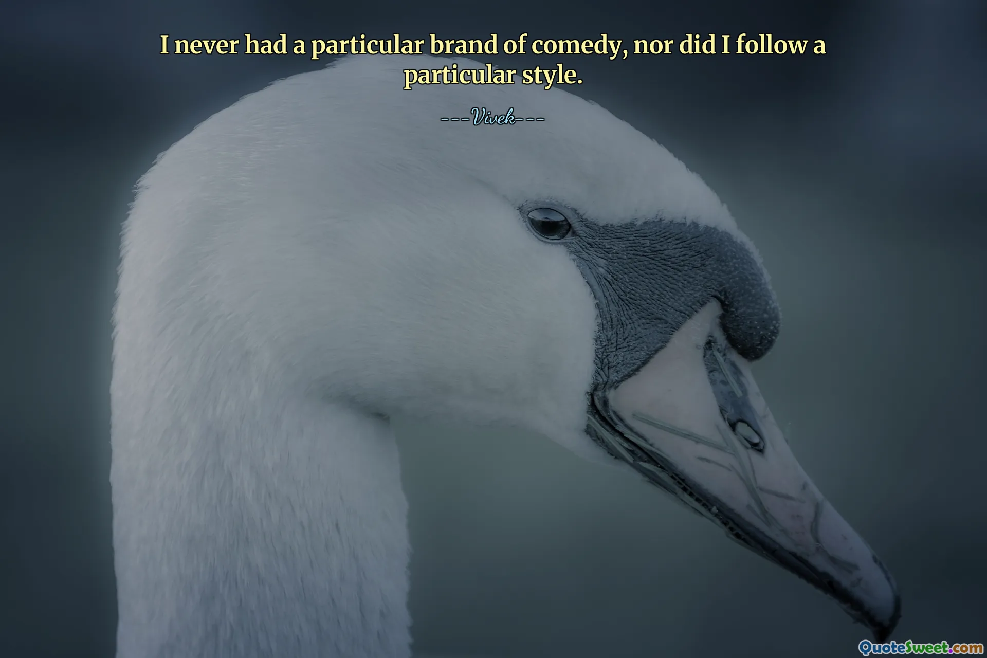 I never had a particular brand of comedy, nor did I follow a particular style.