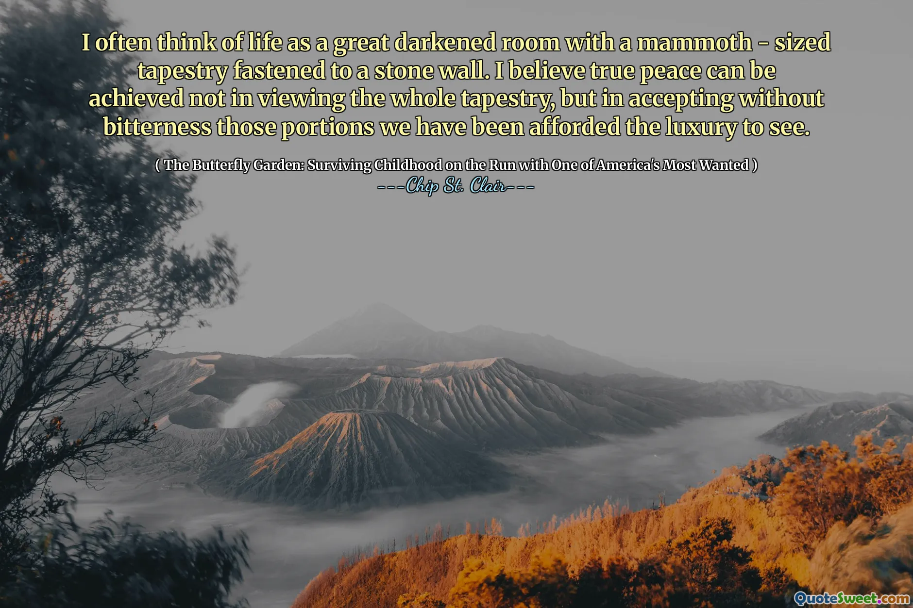 I often think of life as a great darkened room with a mammoth - sized tapestry fastened to a stone wall. I believe true peace can be achieved not in viewing the whole tapestry, but in accepting without bitterness those portions we have been afforded the luxury to see.