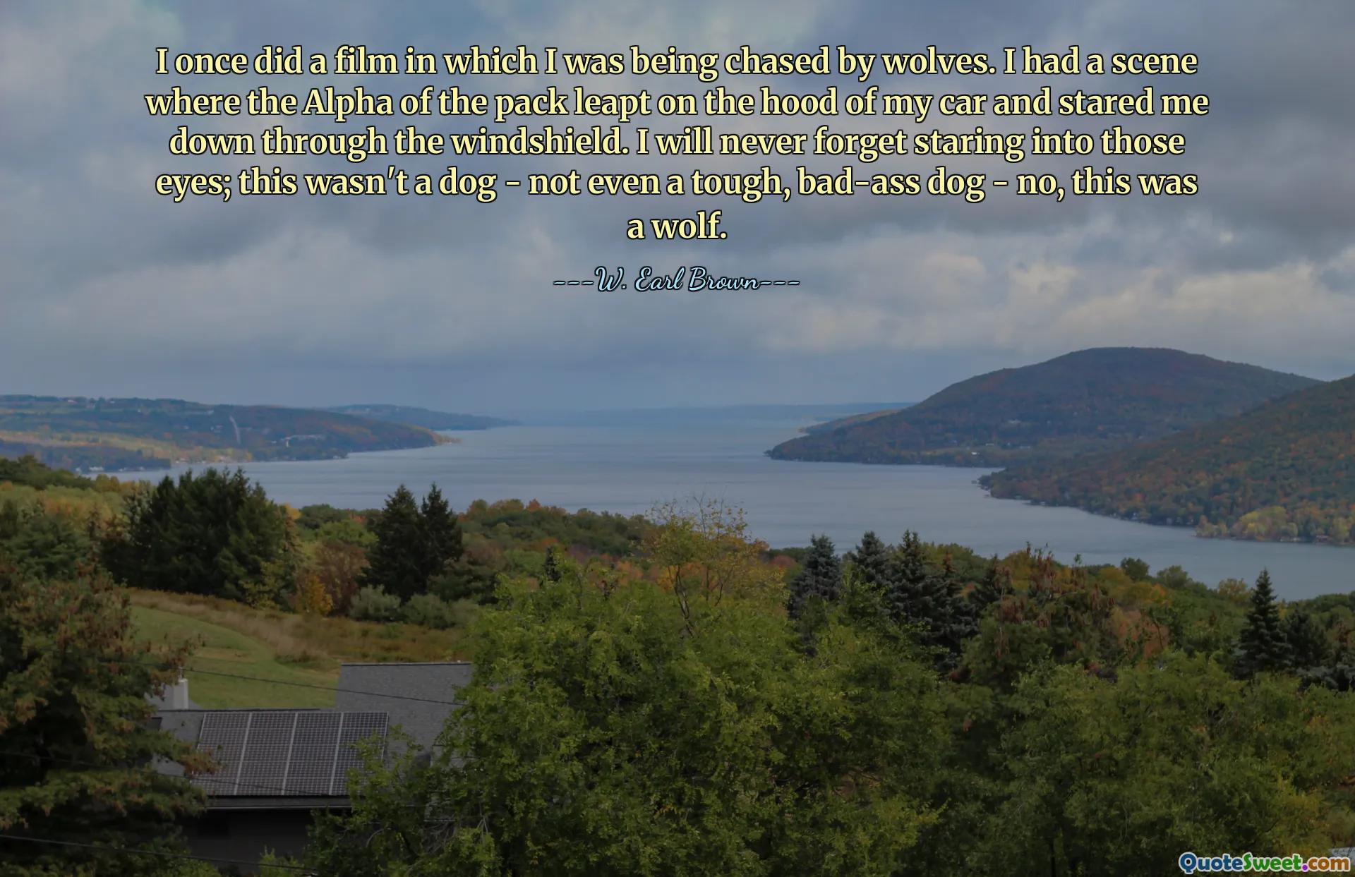 I once did a film in which I was being chased by wolves. I had a scene where the Alpha of the pack leapt on the hood of my car and stared me down through the windshield. I will never forget staring into those eyes; this wasn't a dog - not even a tough, bad-ass dog - no, this was a wolf.