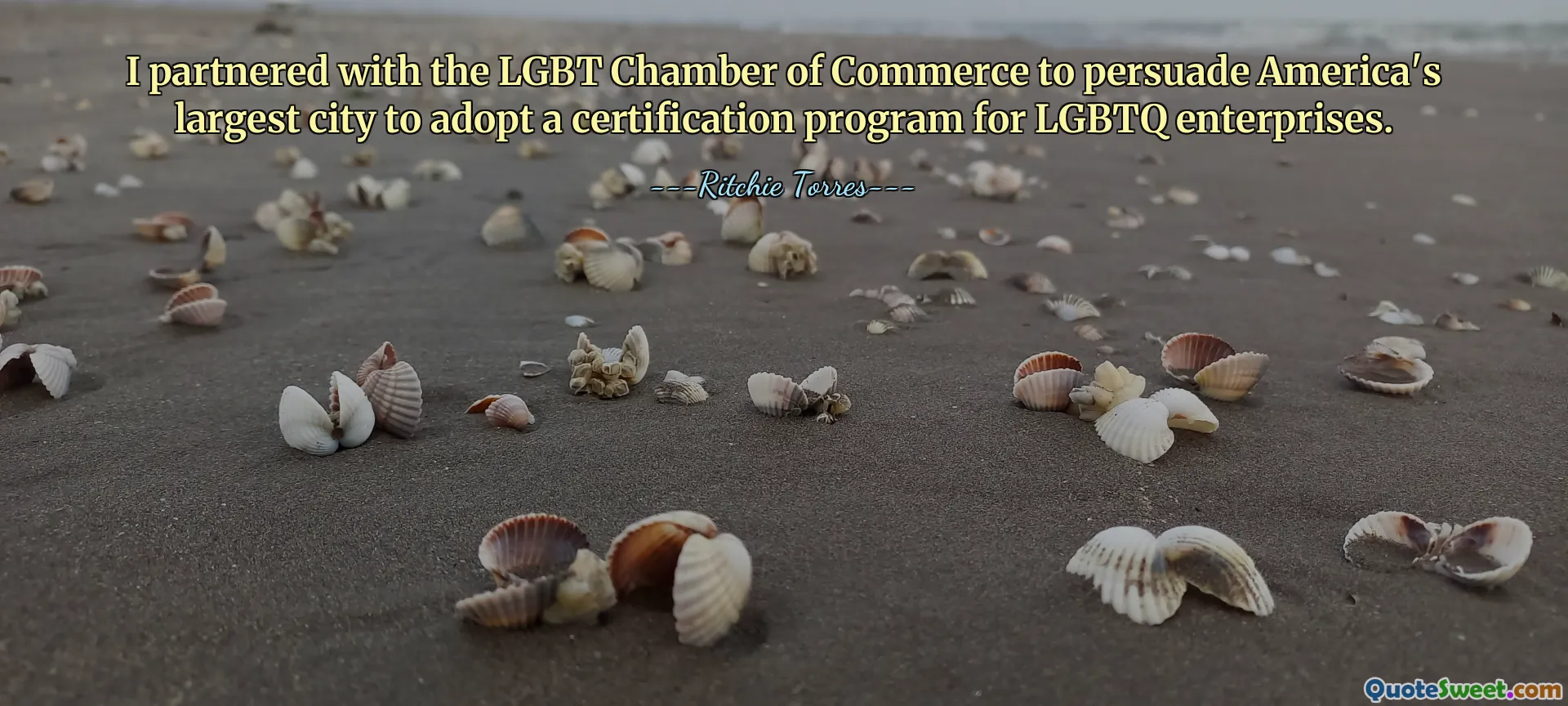 I partnered with the LGBT Chamber of Commerce to persuade America's largest city to adopt a certification program for LGBTQ enterprises.