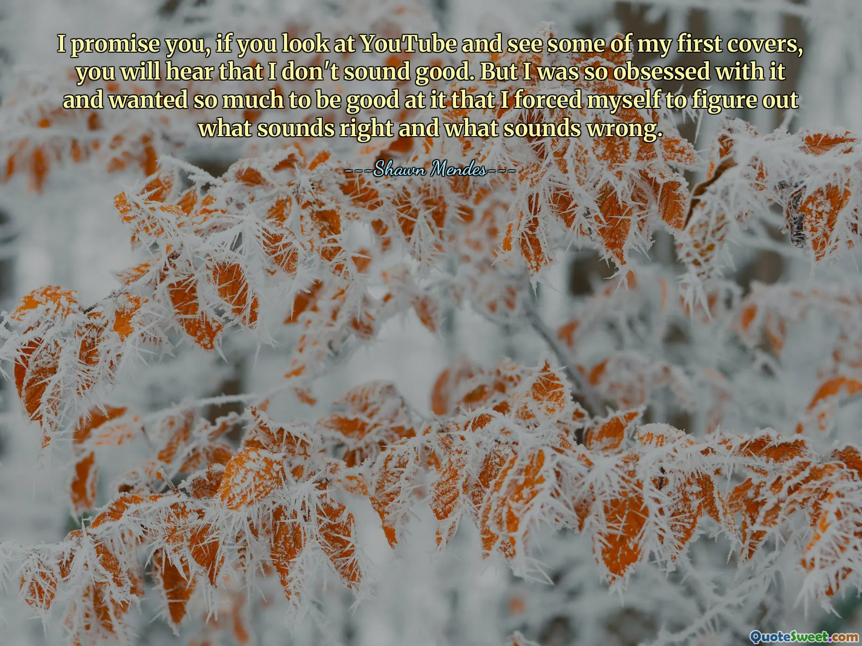 I promise you, if you look at YouTube and see some of my first covers, you will hear that I don't sound good. But I was so obsessed with it and wanted so much to be good at it that I forced myself to figure out what sounds right and what sounds wrong.