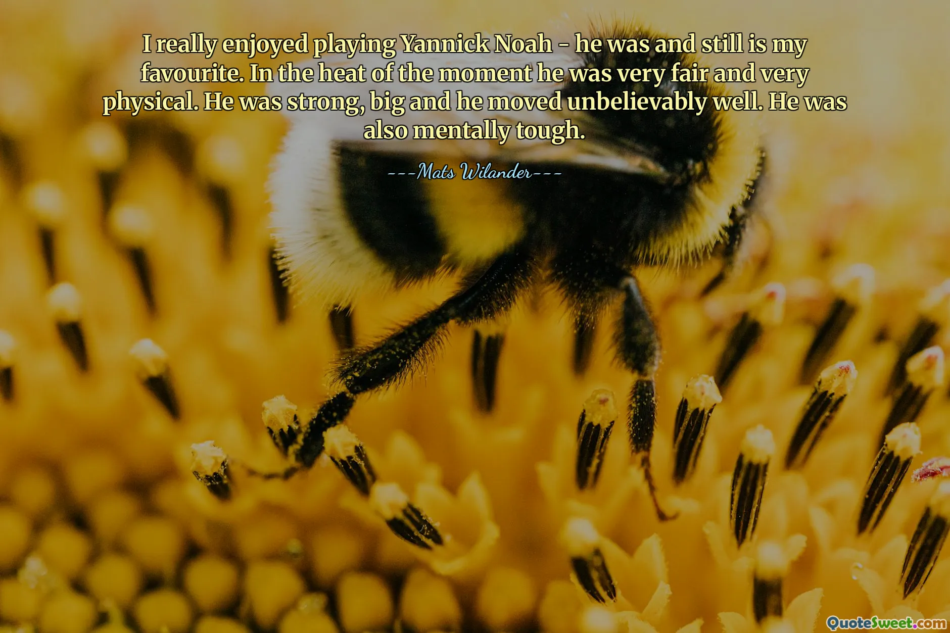 I really enjoyed playing Yannick Noah - he was and still is my favourite. In the heat of the moment he was very fair and very physical. He was strong, big and he moved unbelievably well. He was also mentally tough.