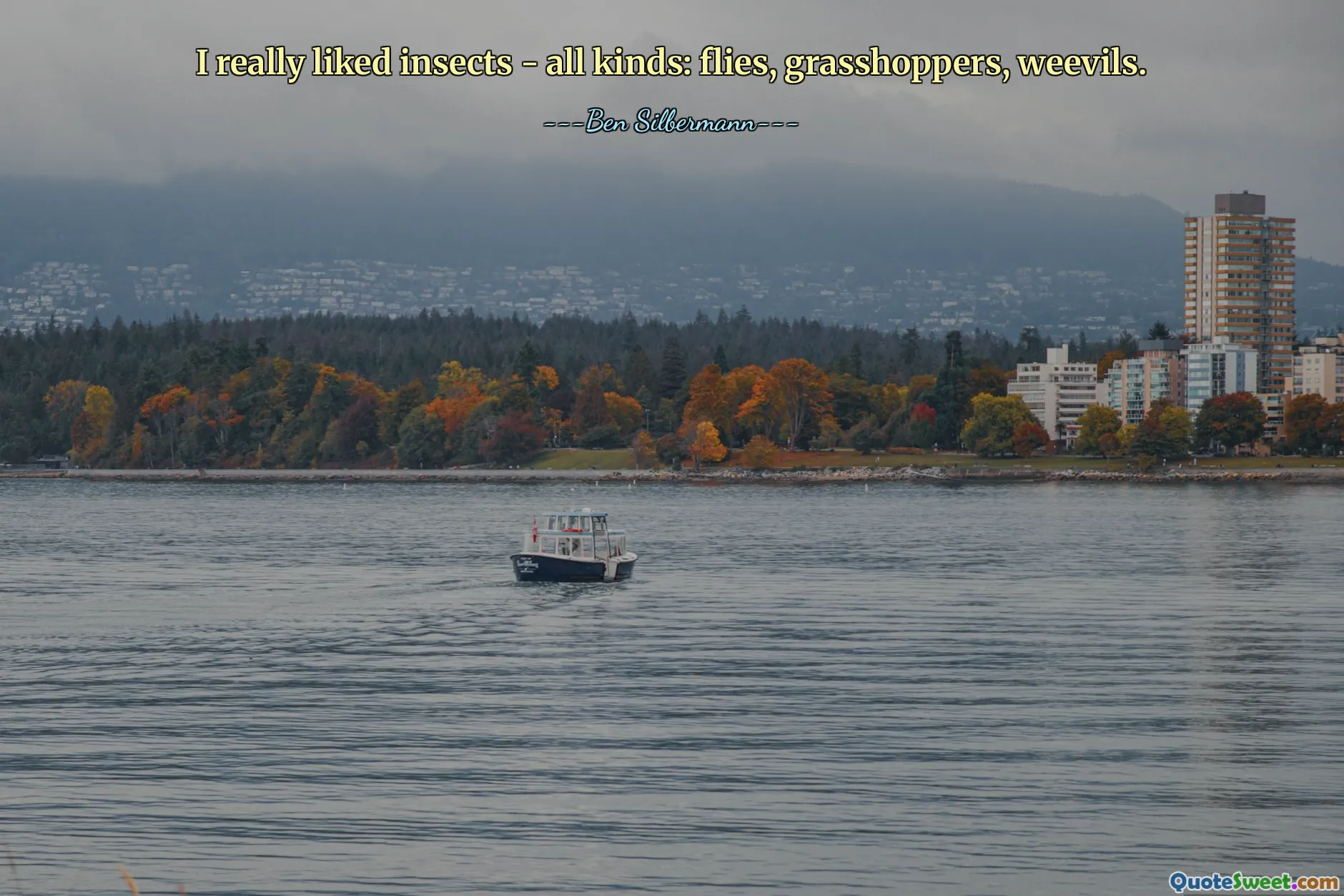 Jag gillade verkligen insekter - alla sorters: flugor, gräshoppor, vivlar.