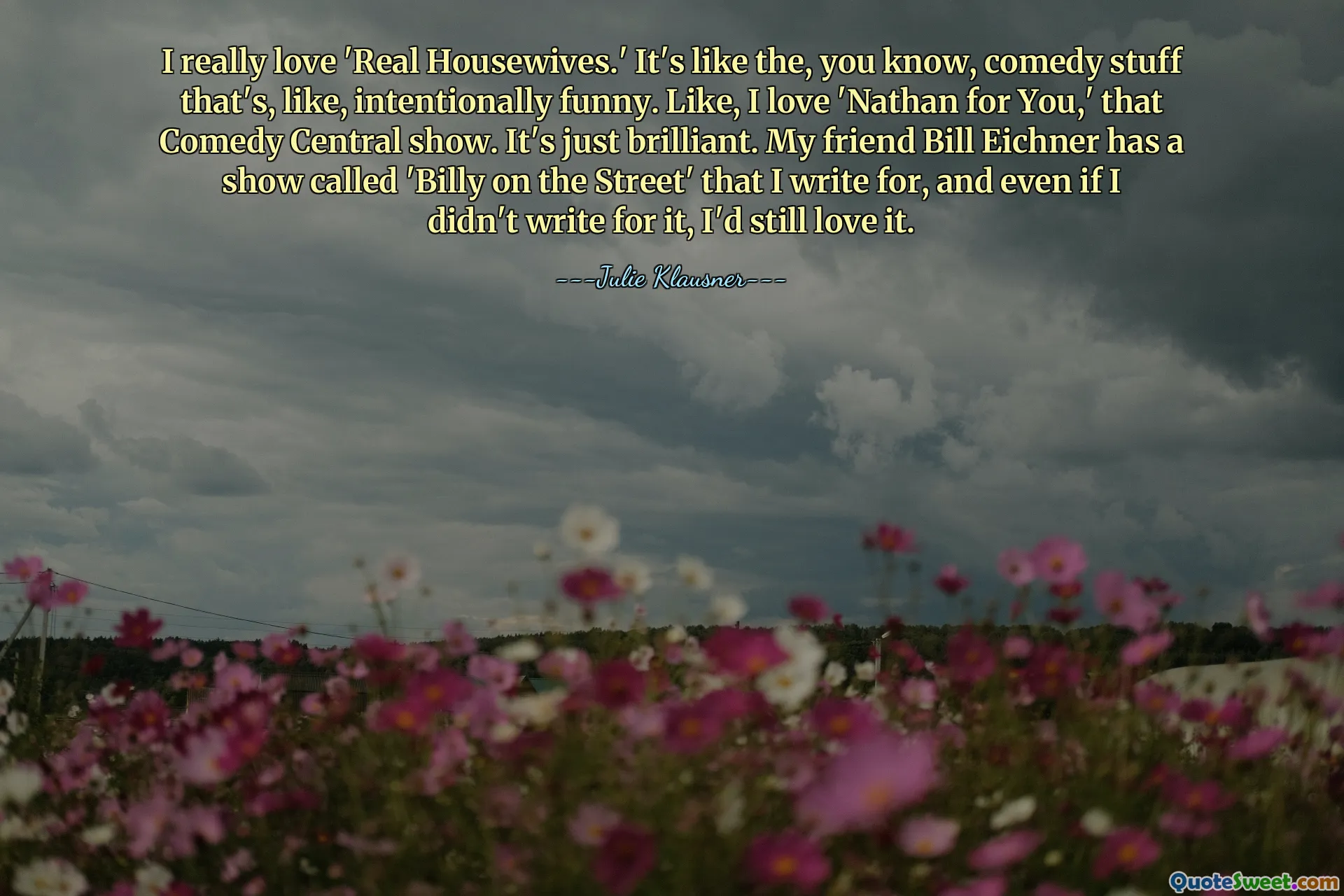 I really love 'Real Housewives.' It's like the, you know, comedy stuff that's, like, intentionally funny. Like, I love 'Nathan for You,' that Comedy Central show. It's just brilliant. My friend Bill Eichner has a show called 'Billy on the Street' that I write for, and even if I didn't write for it, I'd still love it.