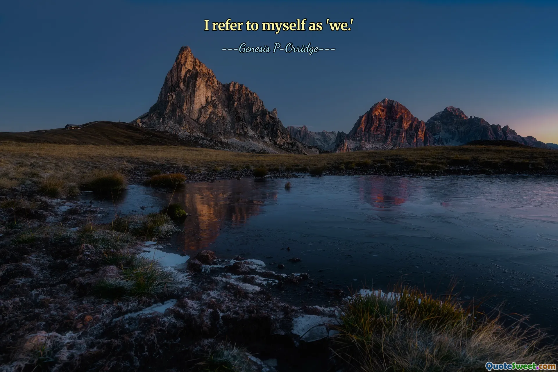 我称自己为“我们”。