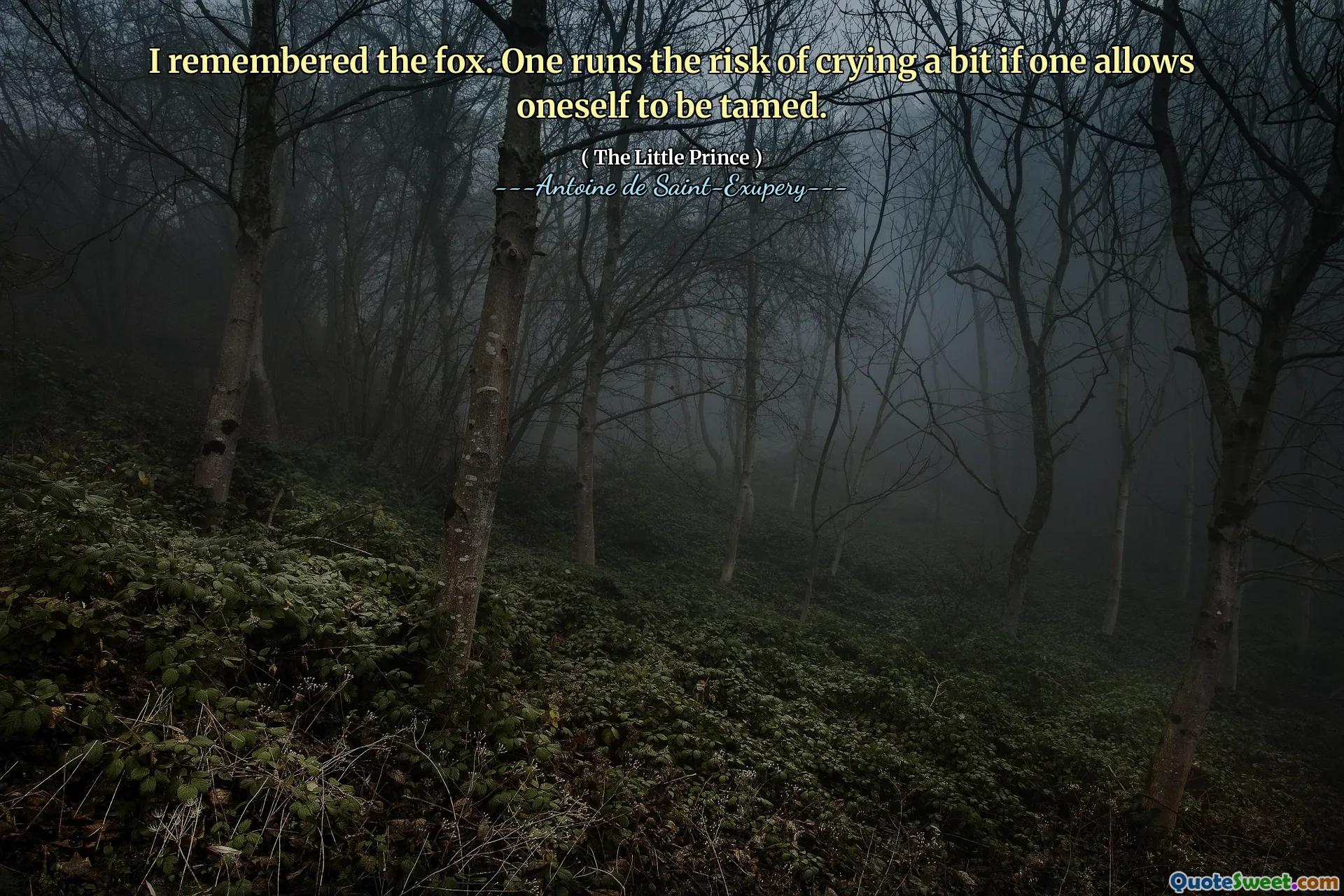 I remembered the fox. One runs the risk of crying a bit if one allows oneself to be tamed.