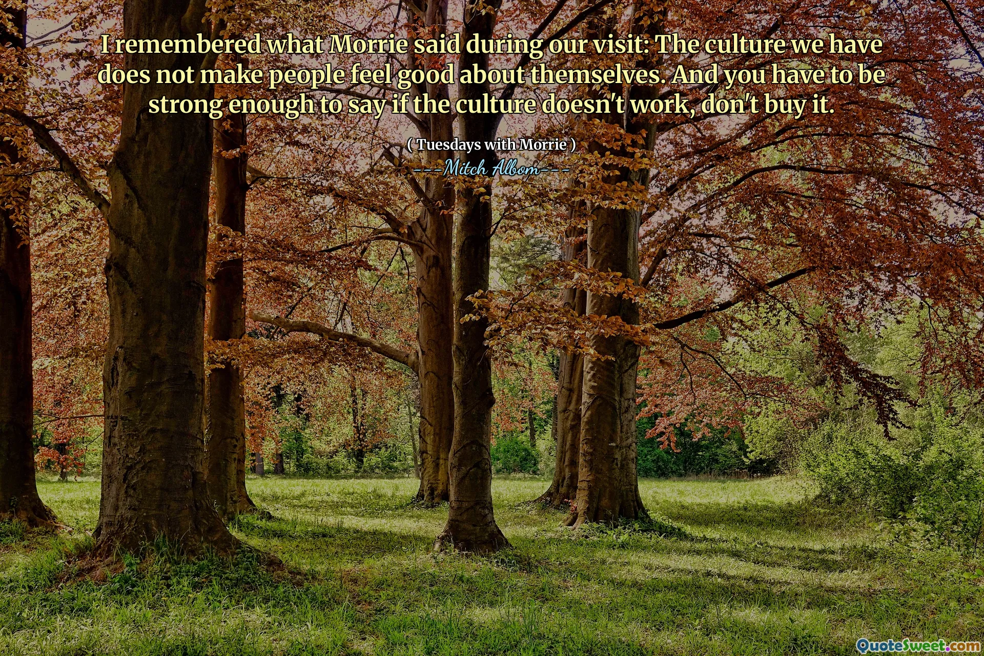 我想起了莫里在访问期间所说的话：我们所拥有的文化并没有使人们对自己感觉良好。而且，您必须足够强大，以说如果文化不起作用，请不要购买。