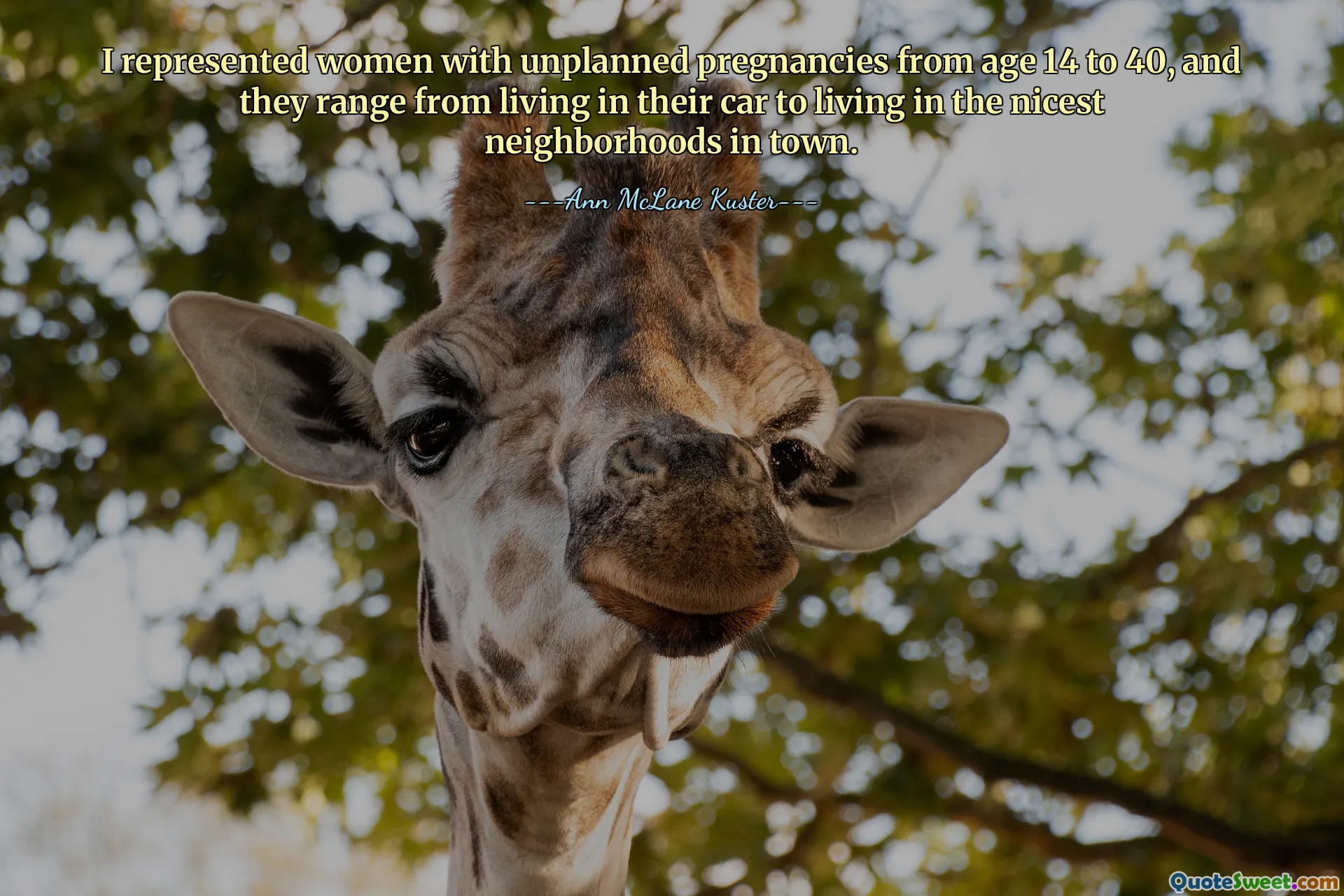 I represented women with unplanned pregnancies from age 14 to 40, and they range from living in their car to living in the nicest neighborhoods in town.