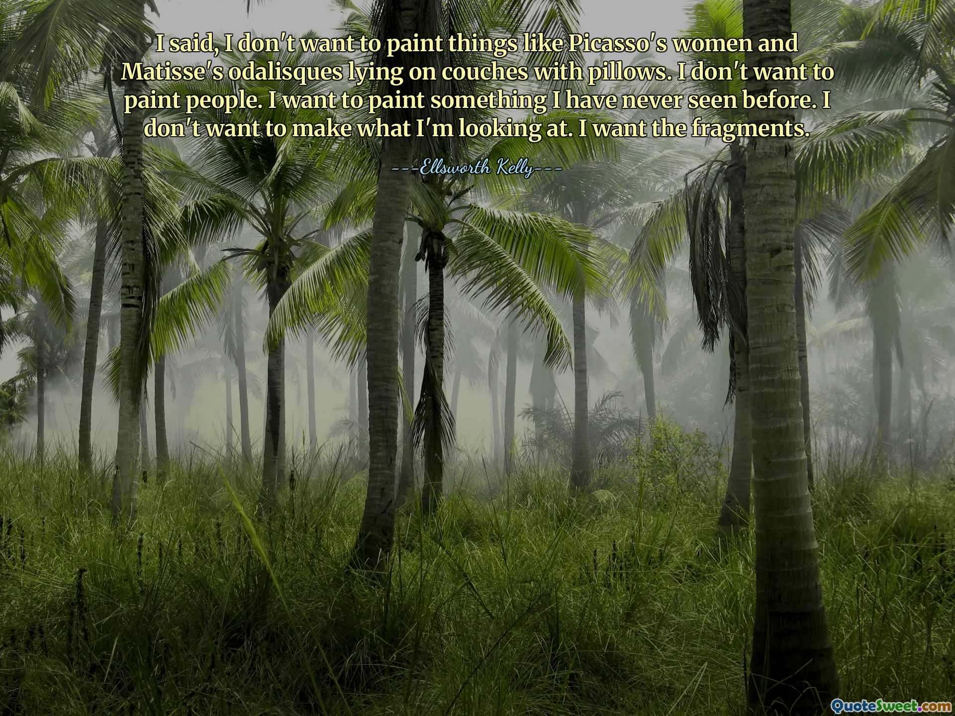 I said, I don't want to paint things like Picasso's women and Matisse's odalisques lying on couches with pillows. I don't want to paint people. I want to paint something I have never seen before. I don't want to make what I'm looking at. I want the fragments.