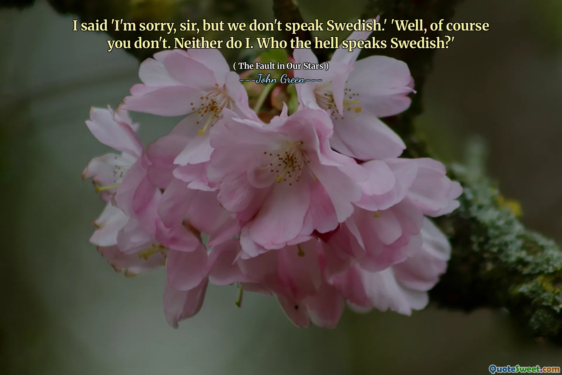 I said 'I'm sorry, sir, but we don't speak Swedish.' 'Well, of course you don't. Neither do I. Who the hell speaks Swedish?'