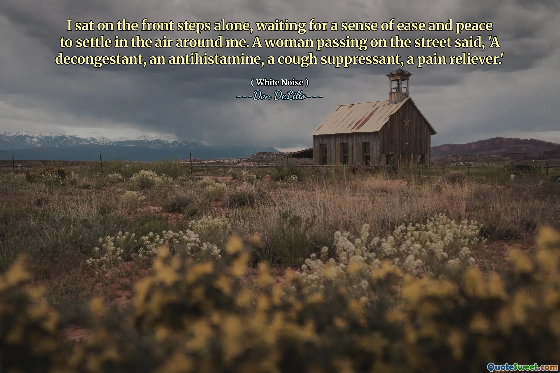 I sat on the front steps alone, waiting for a sense of ease and peace to settle in the air around me. A woman passing on the street said, 'A decongestant, an antihistamine, a cough suppressant, a pain reliever.'